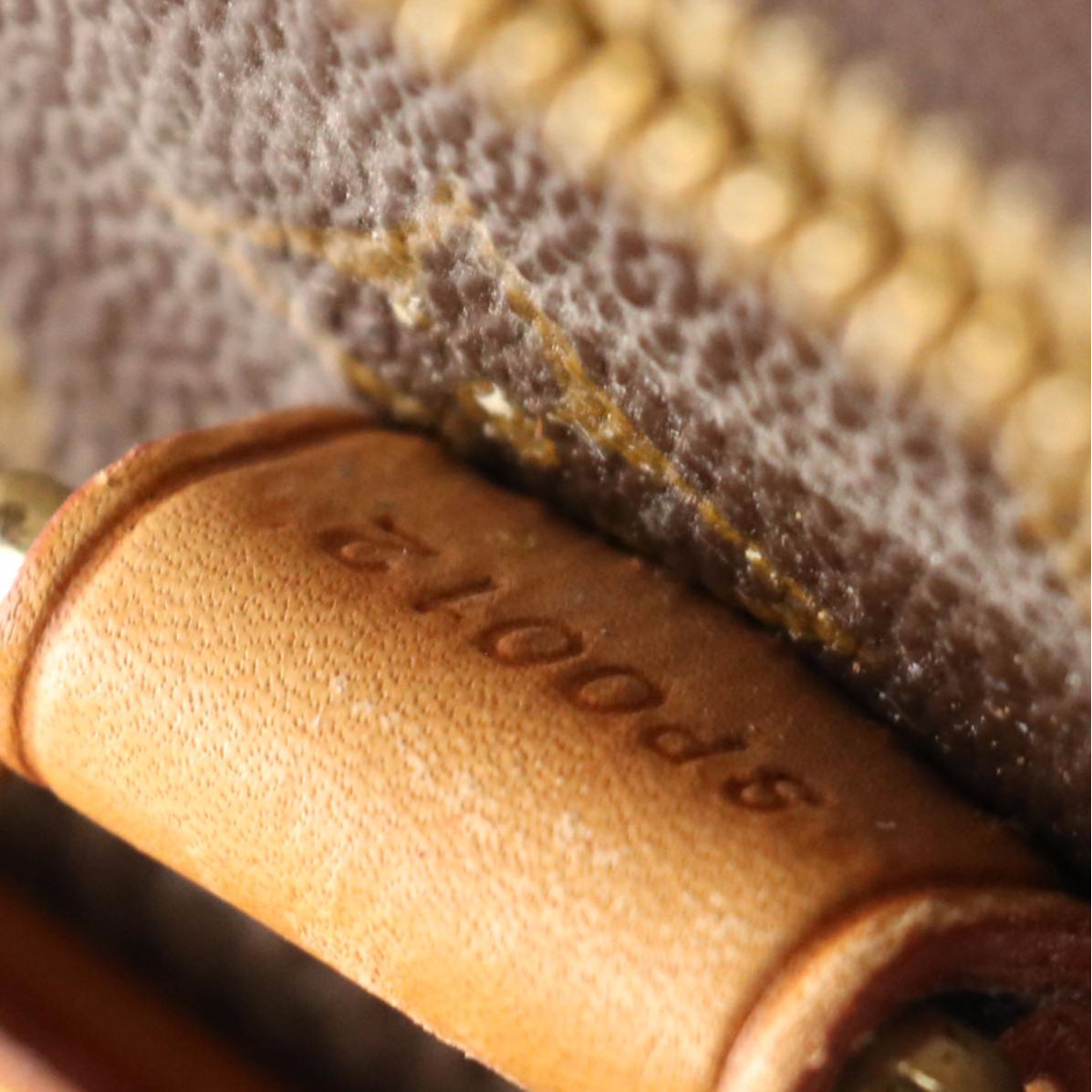 Louis Vuitton Pégase 55 Trolley Case in Monogram Canvas and Vachetta Leather