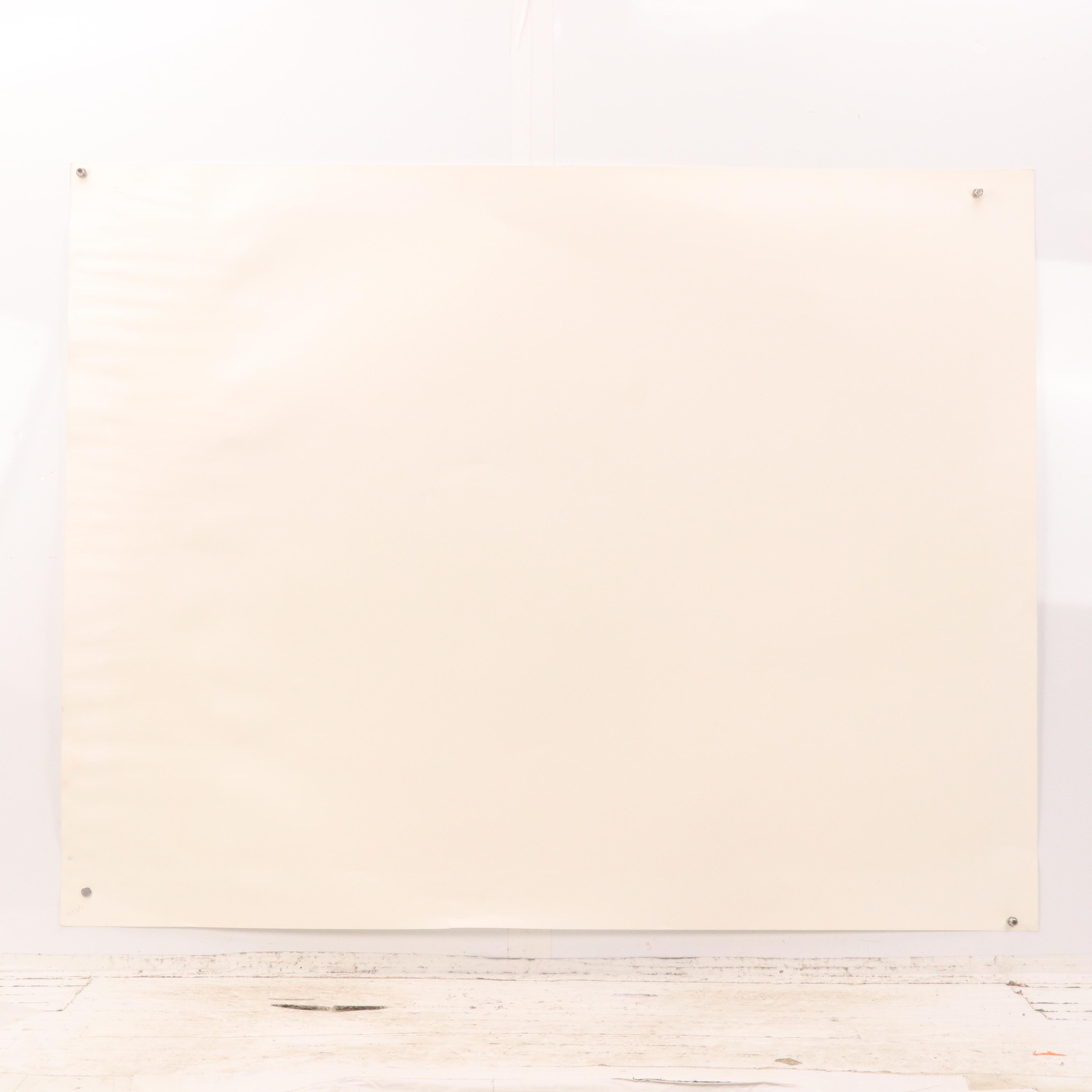 Mark King Serigraph "Zebras"