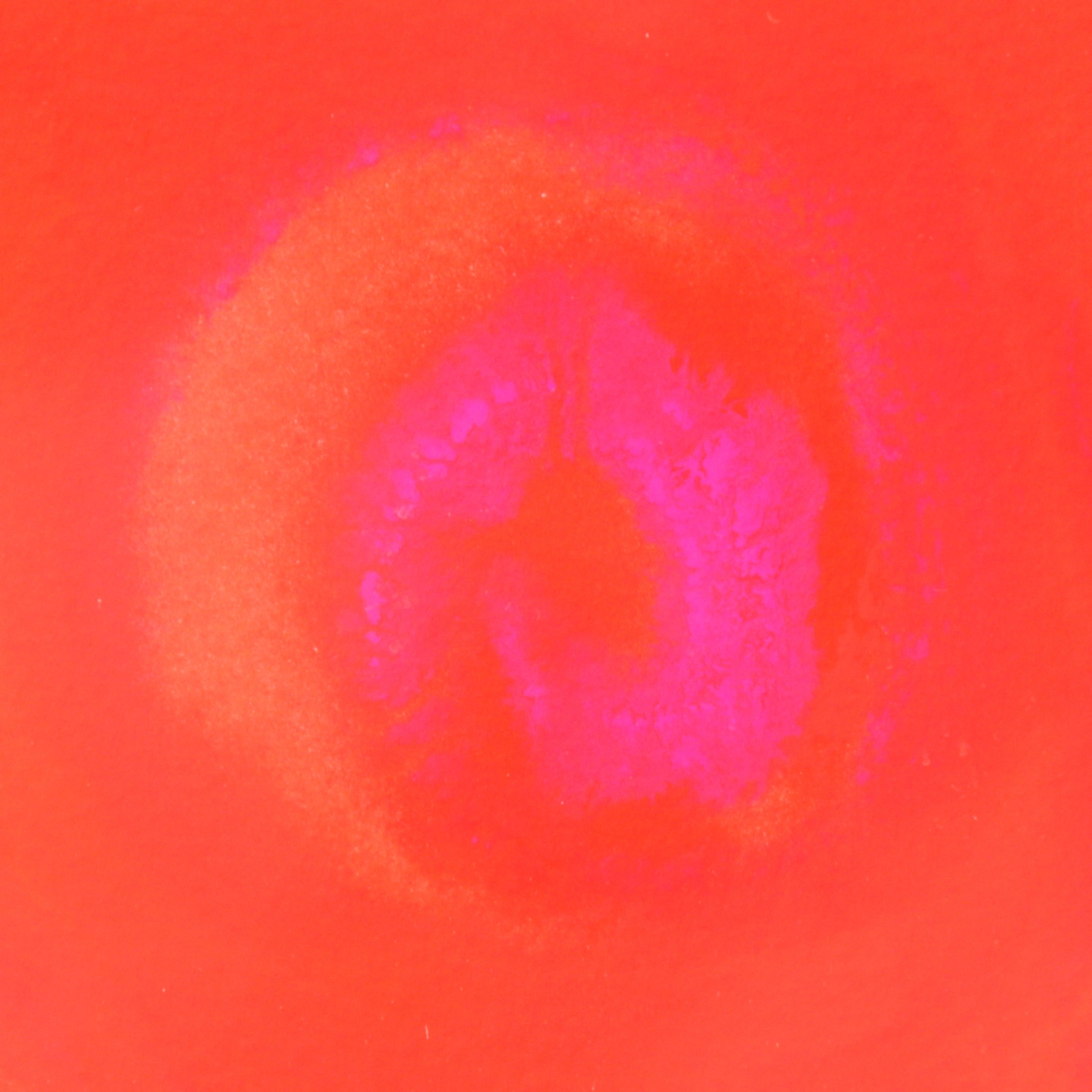 Victoria Nodiff-Netanel Watercolor Painting of Indian Woman and Horse