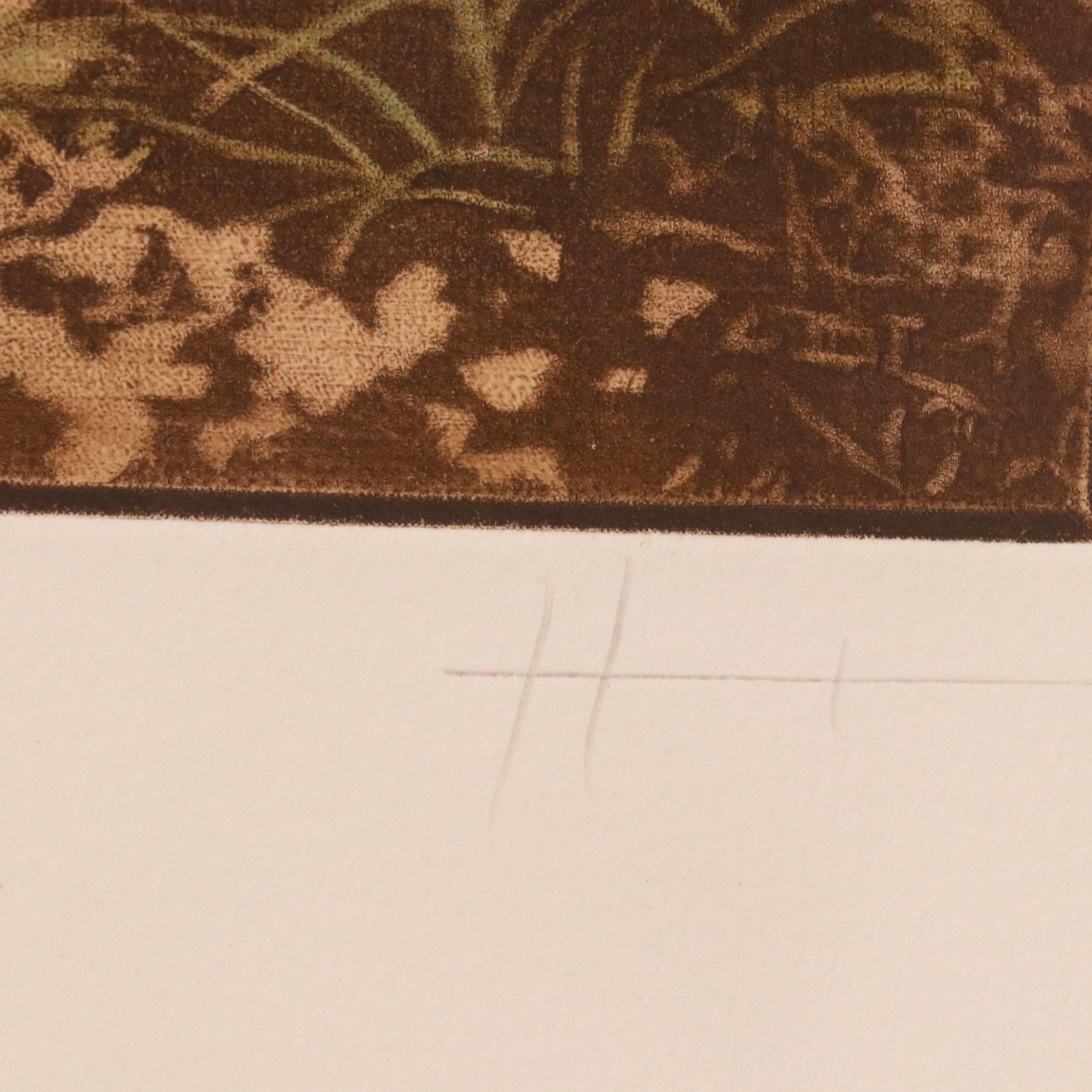 Byron Bratt Hand-Colored Mezzotint "Iris: Goddess of the Rainbow," 1984