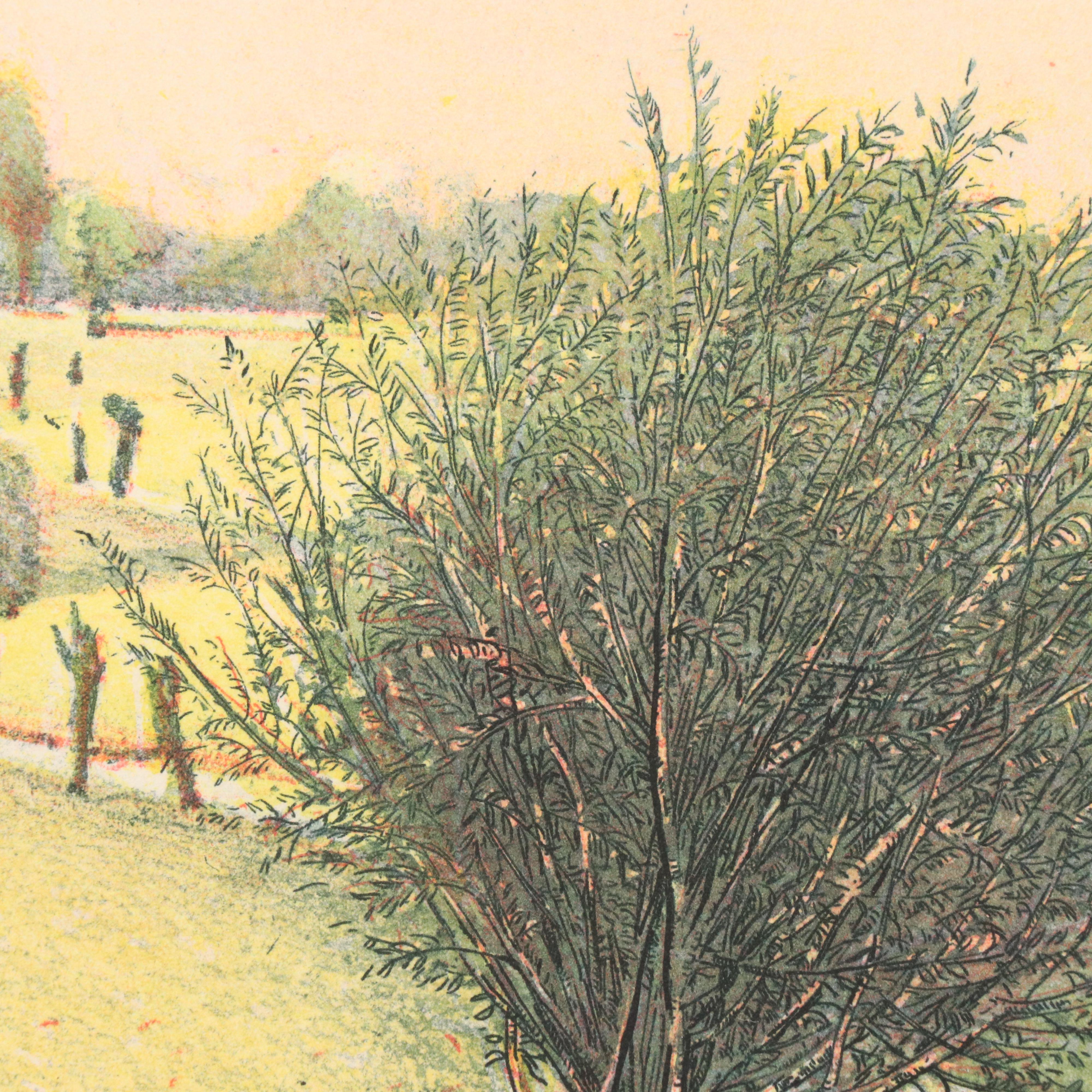 Marco Zambrelli Multiplate Soft Wax Aquatint Etching "Landscape with a Brook"