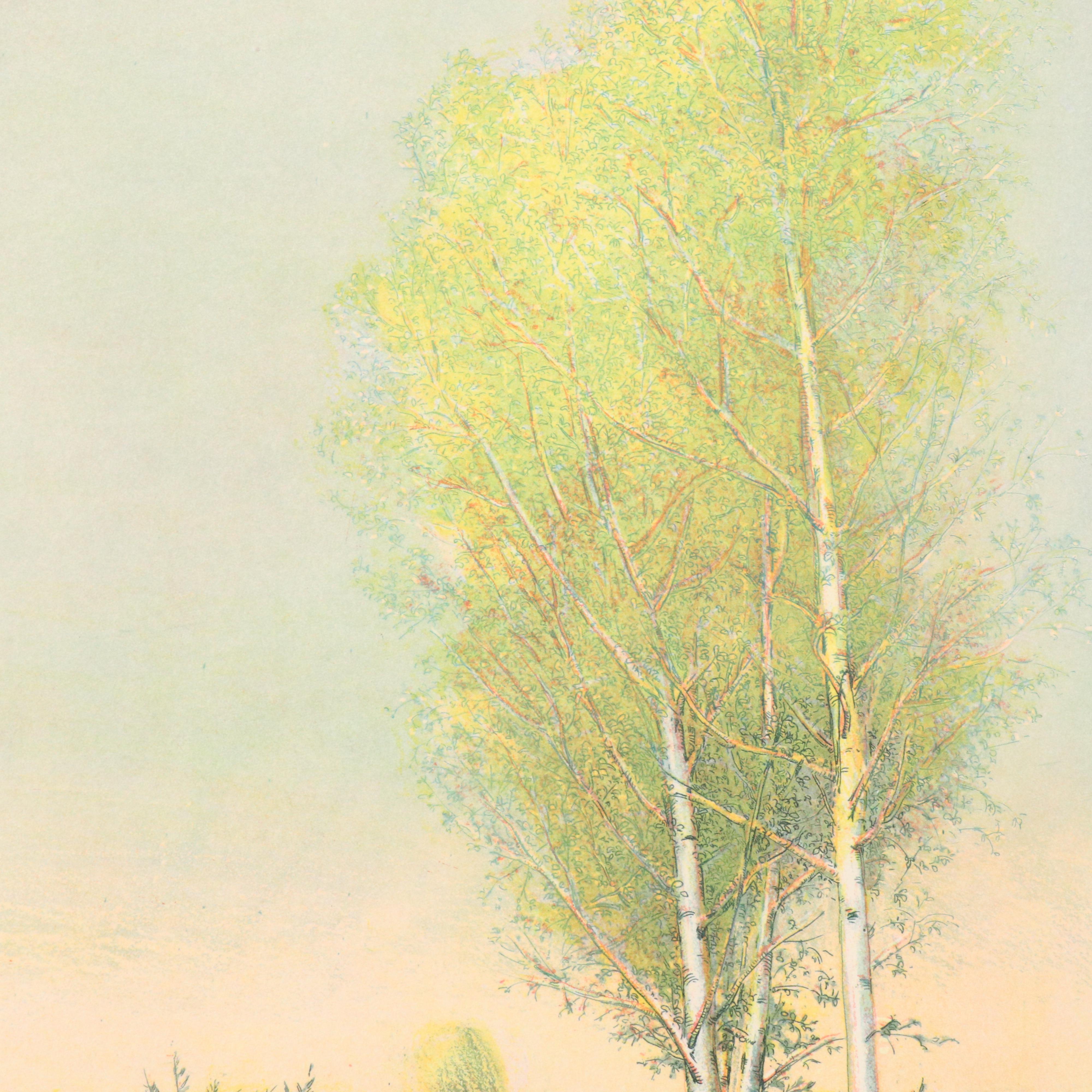 Marco Zambrelli Multiplate Soft Wax Aquatint Etching "Landscape with a Brook"