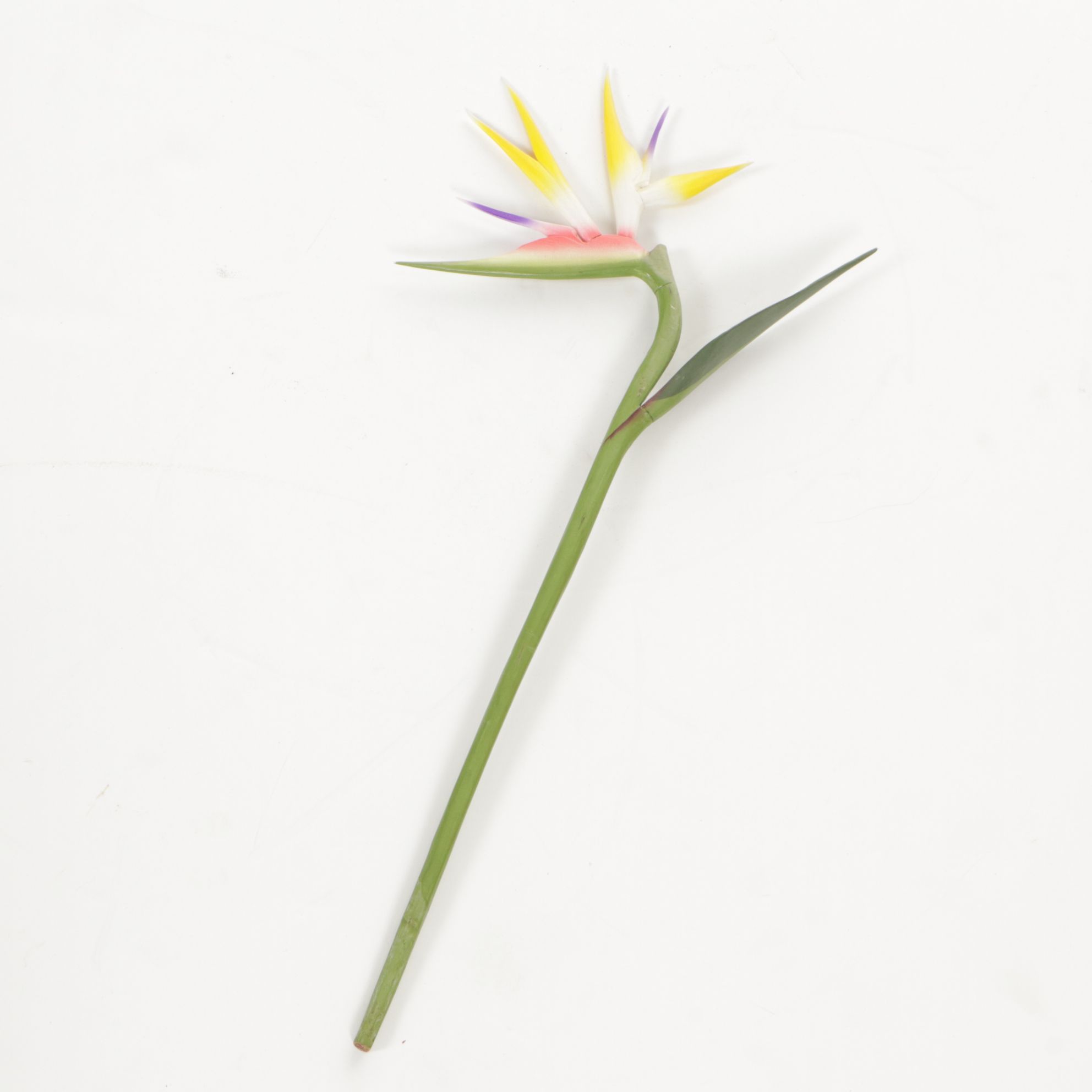 Wooden Palm Tree, Bird of Paradise Stem, and Mango with Pop Out Snake