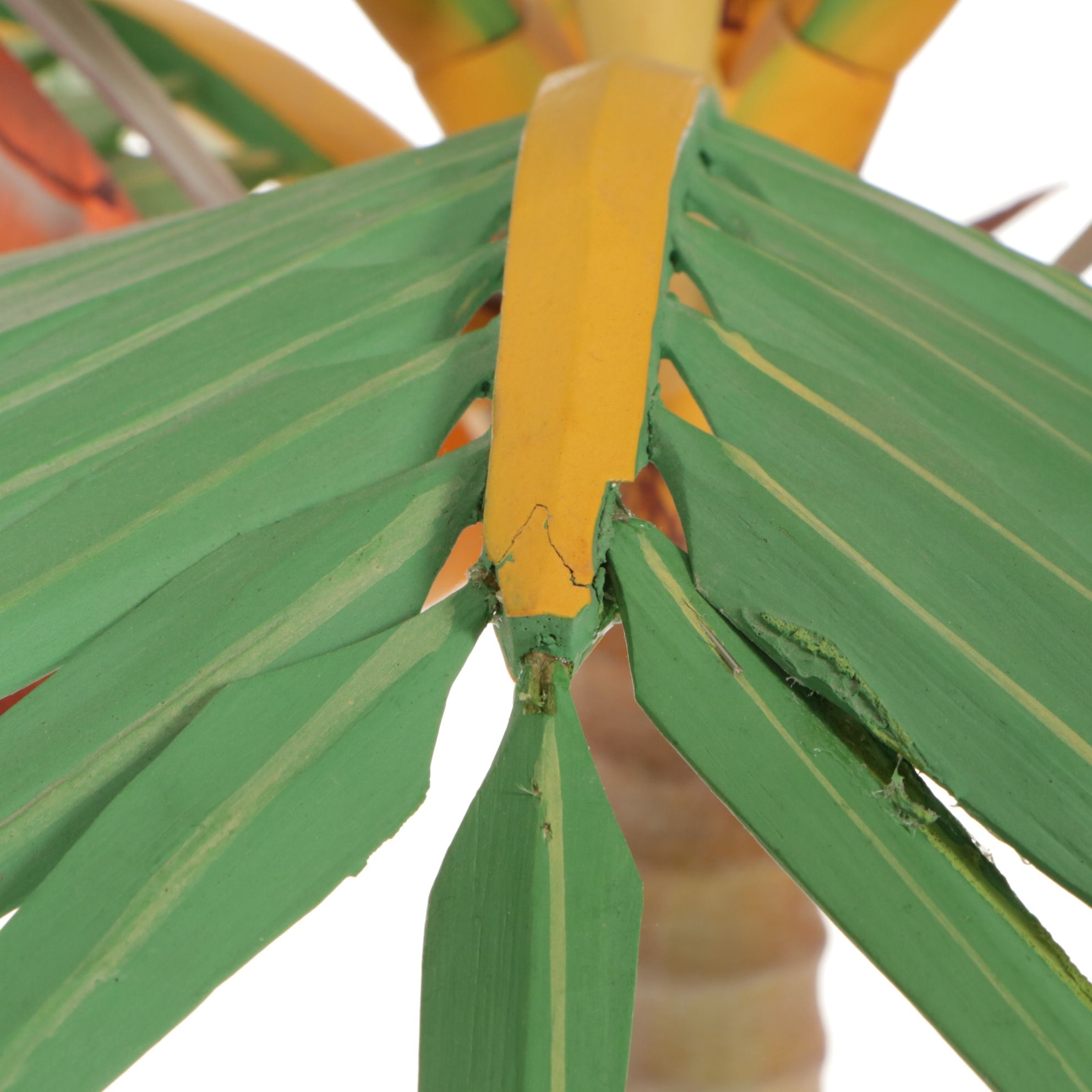 Wooden Palm Tree, Bird of Paradise Stem, and Mango with Pop Out Snake