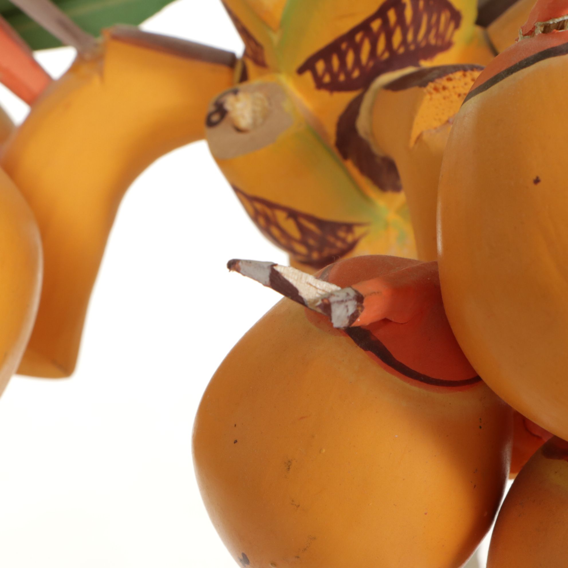 Wooden Palm Tree, Bird of Paradise Stem, and Mango with Pop Out Snake