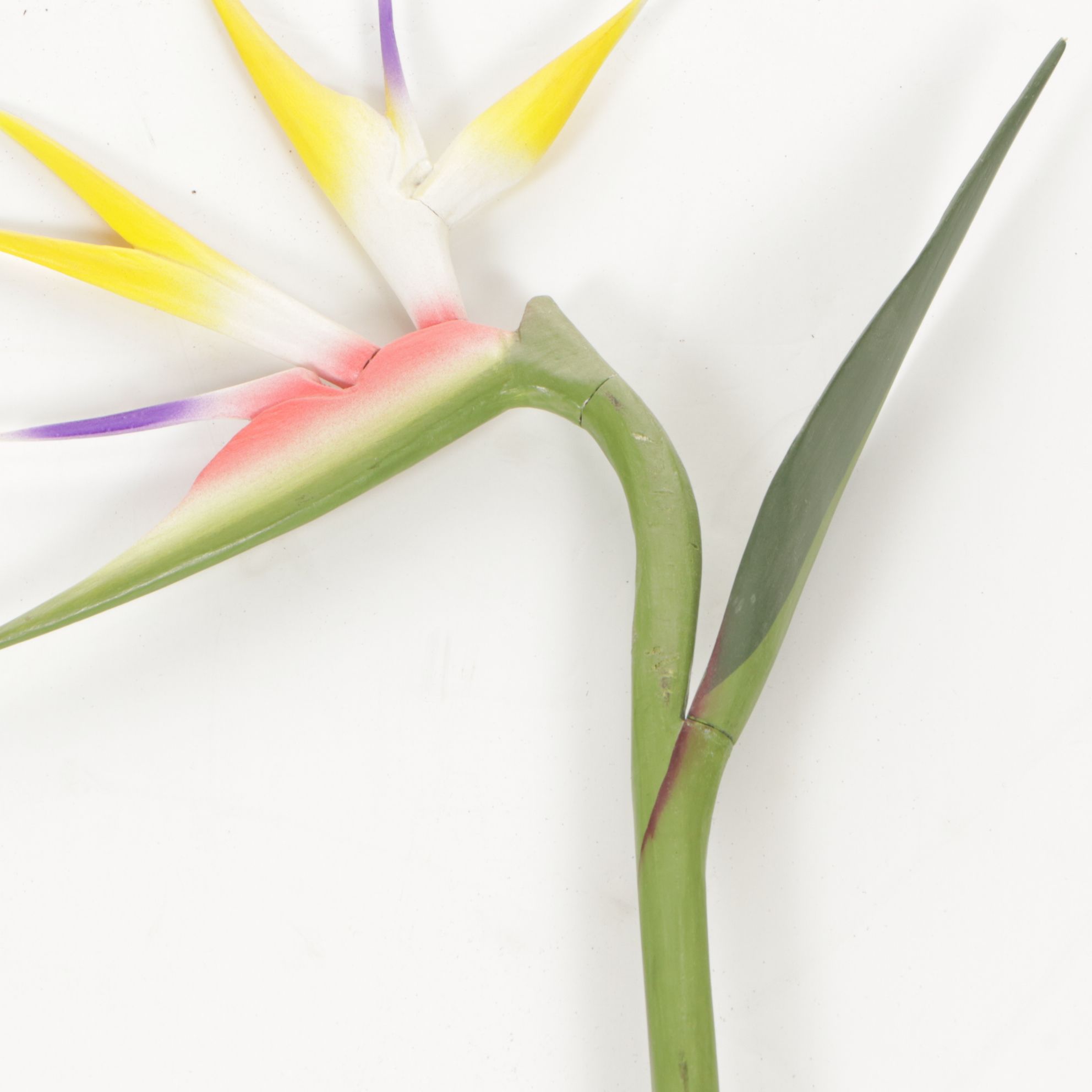 Wooden Palm Tree, Bird of Paradise Stem, and Mango with Pop Out Snake