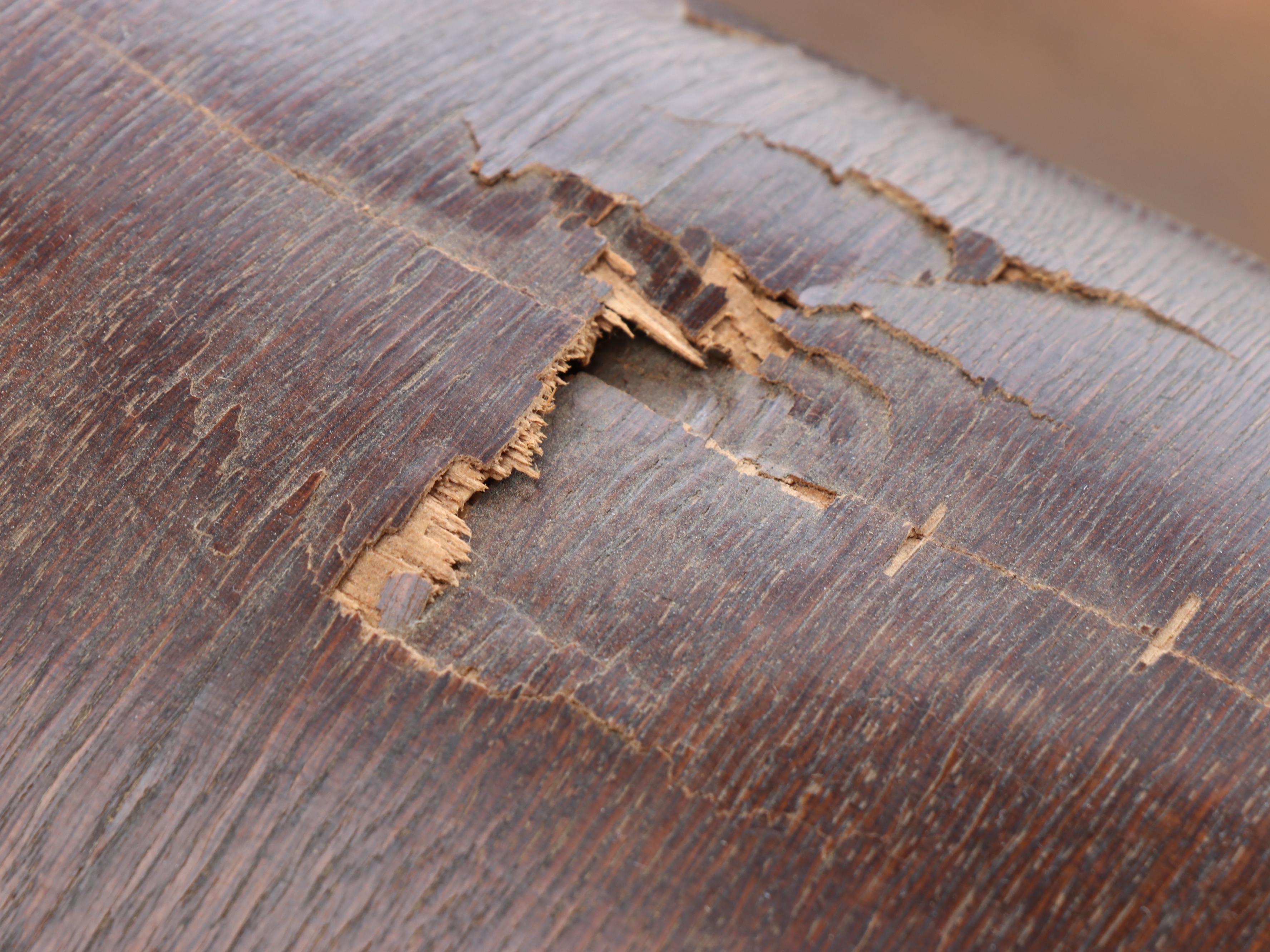 Victoria Sewing Machine with Mahogany Veneer Dome Treadle Table, circa 1906