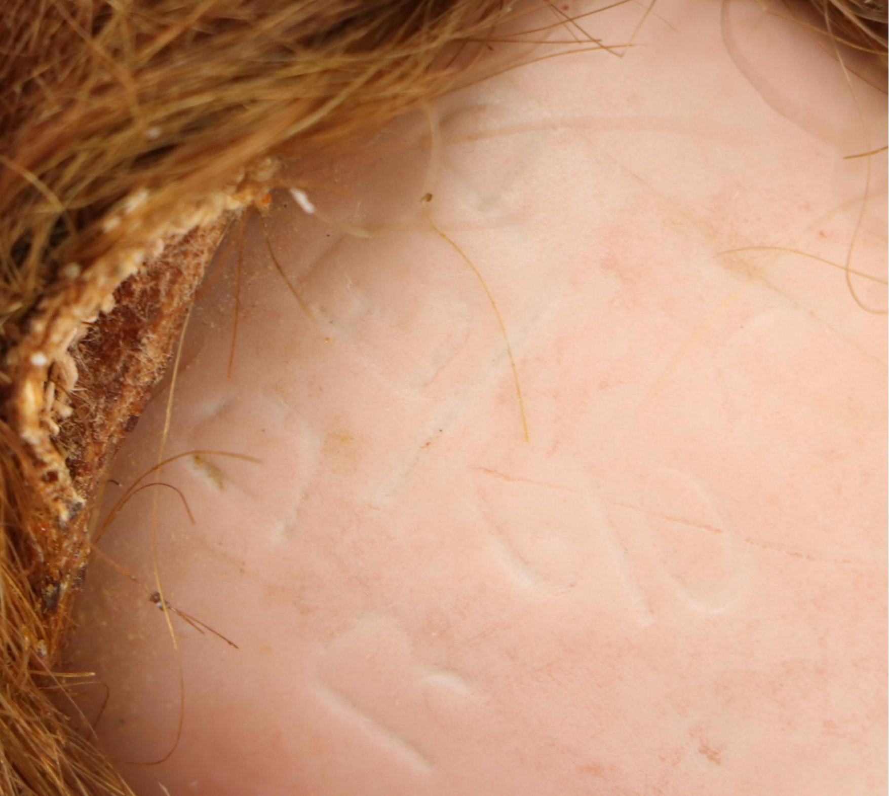German Porcelain Sleepy Eyes Doll with Other Doll, Early to Mid-20th Century
