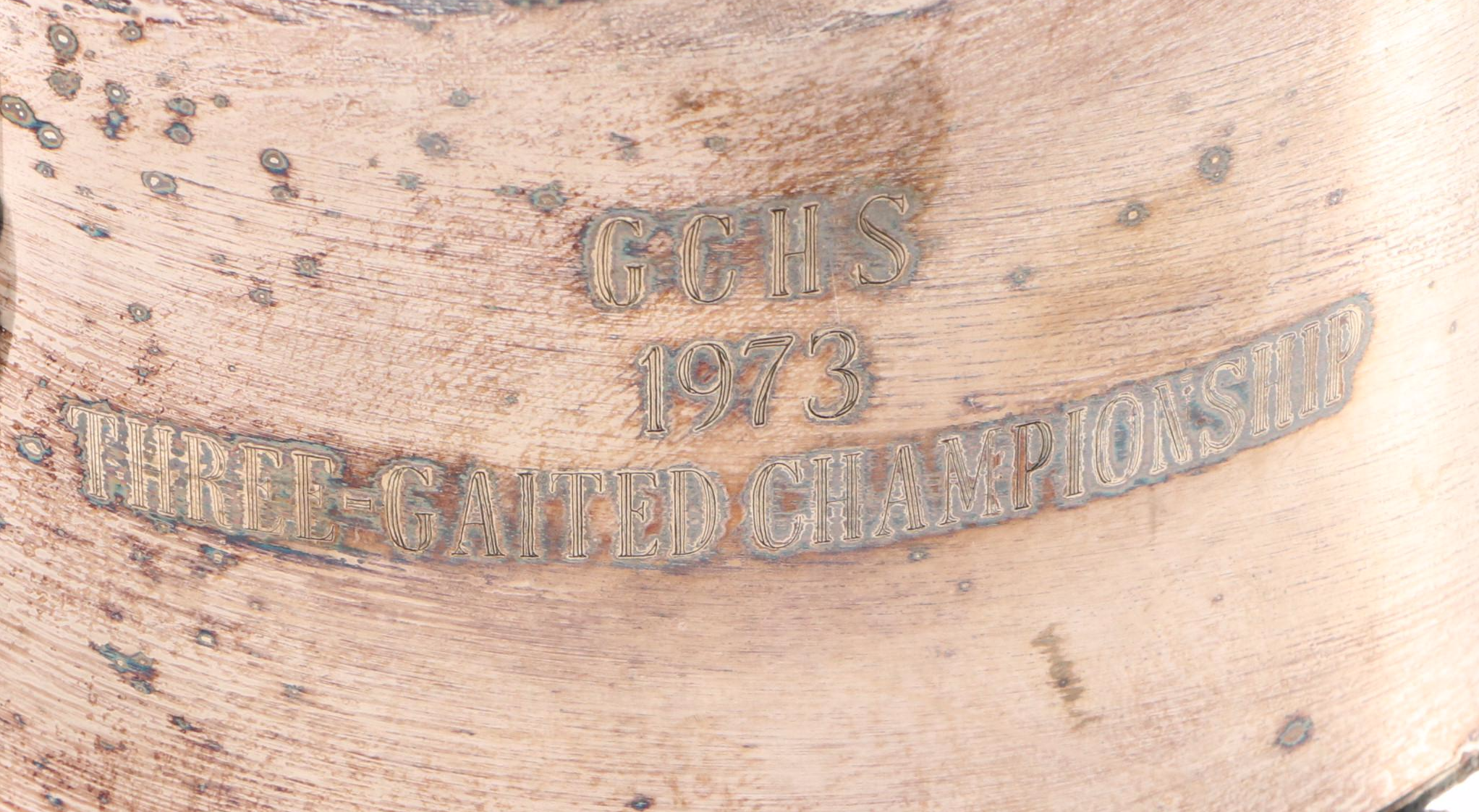 Reed & Barton with Other Saddlebread Presentation Pitchers and Urns