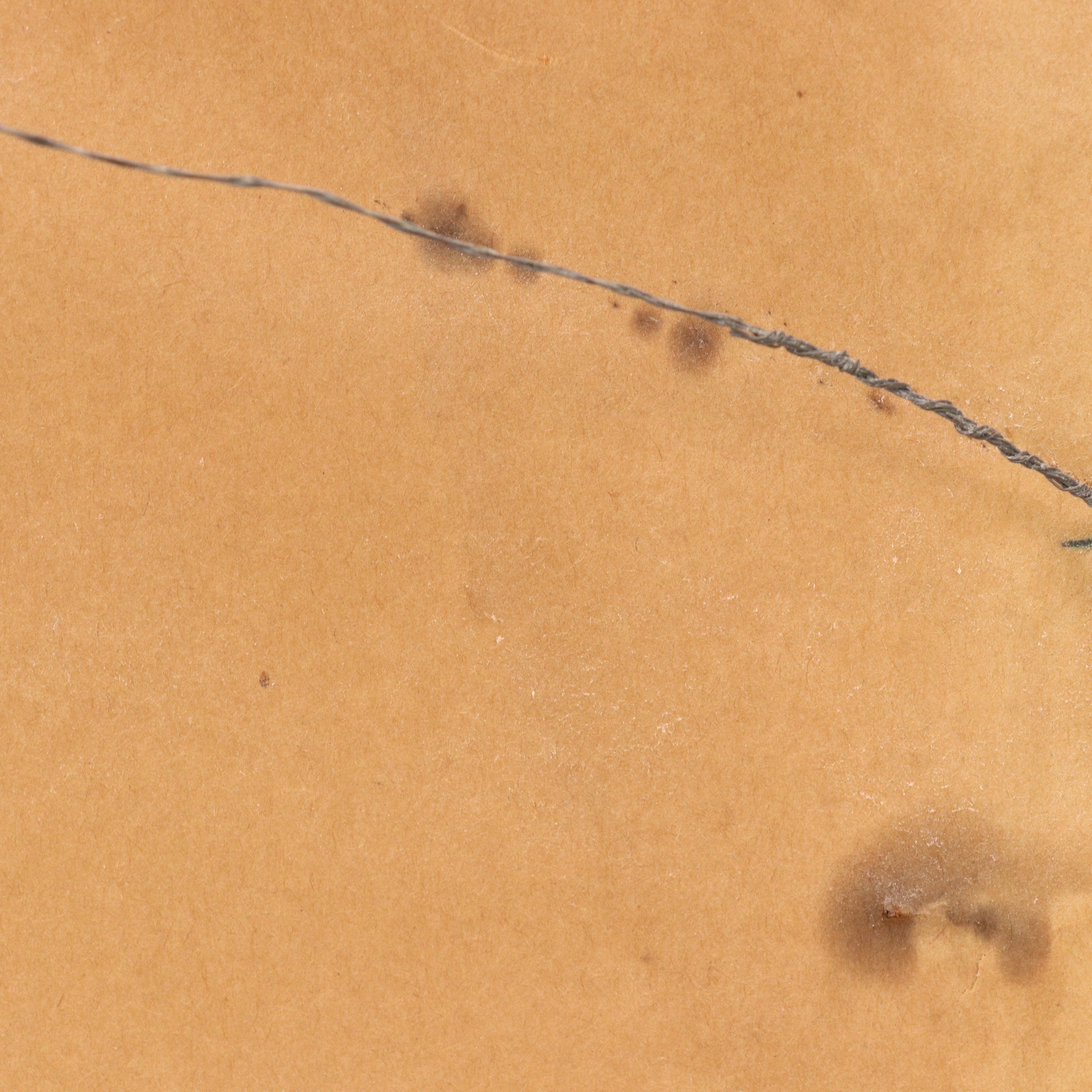 Dutch Fashion Halftones from "National Costumes" Series