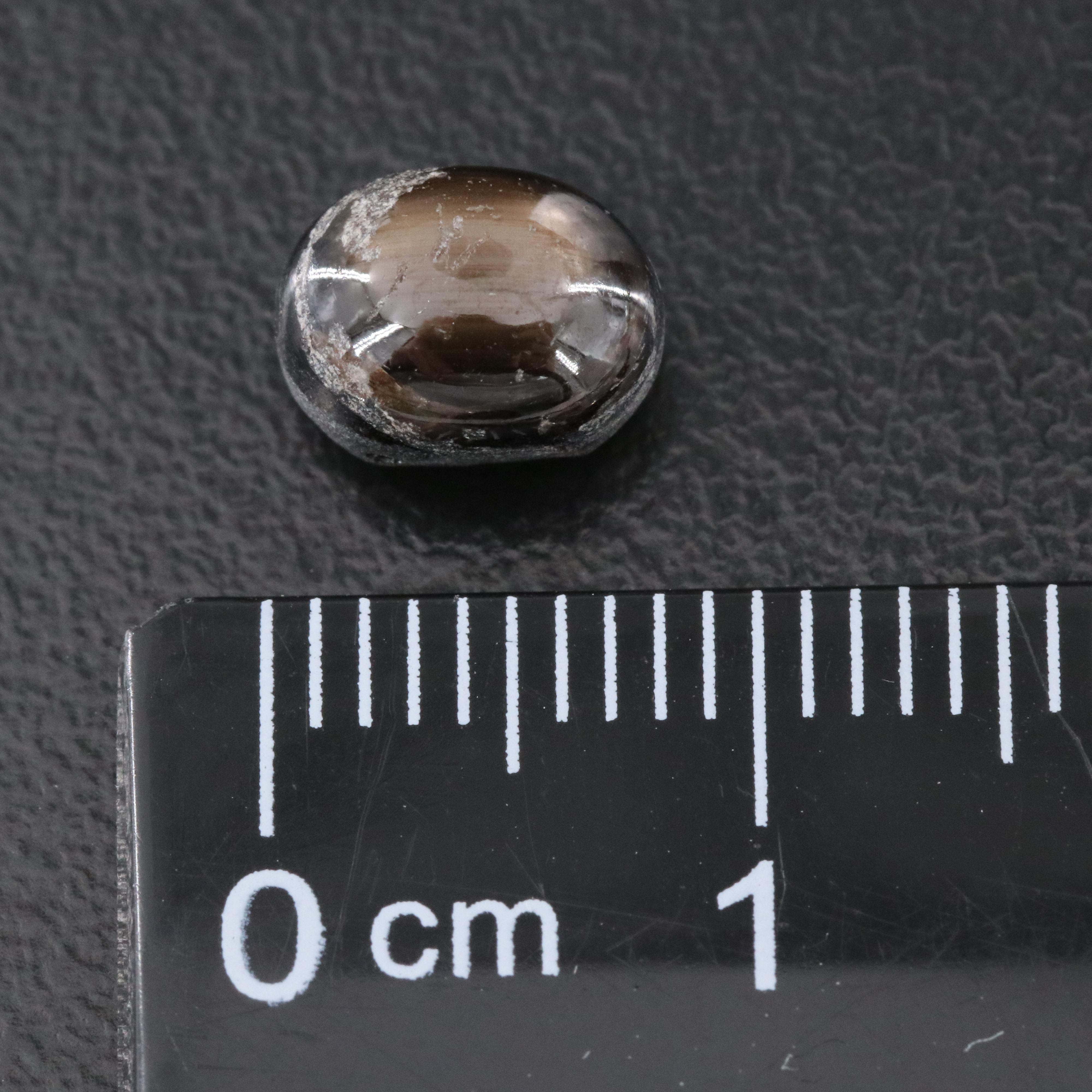 Loose 3.29 CT Star Sapphire