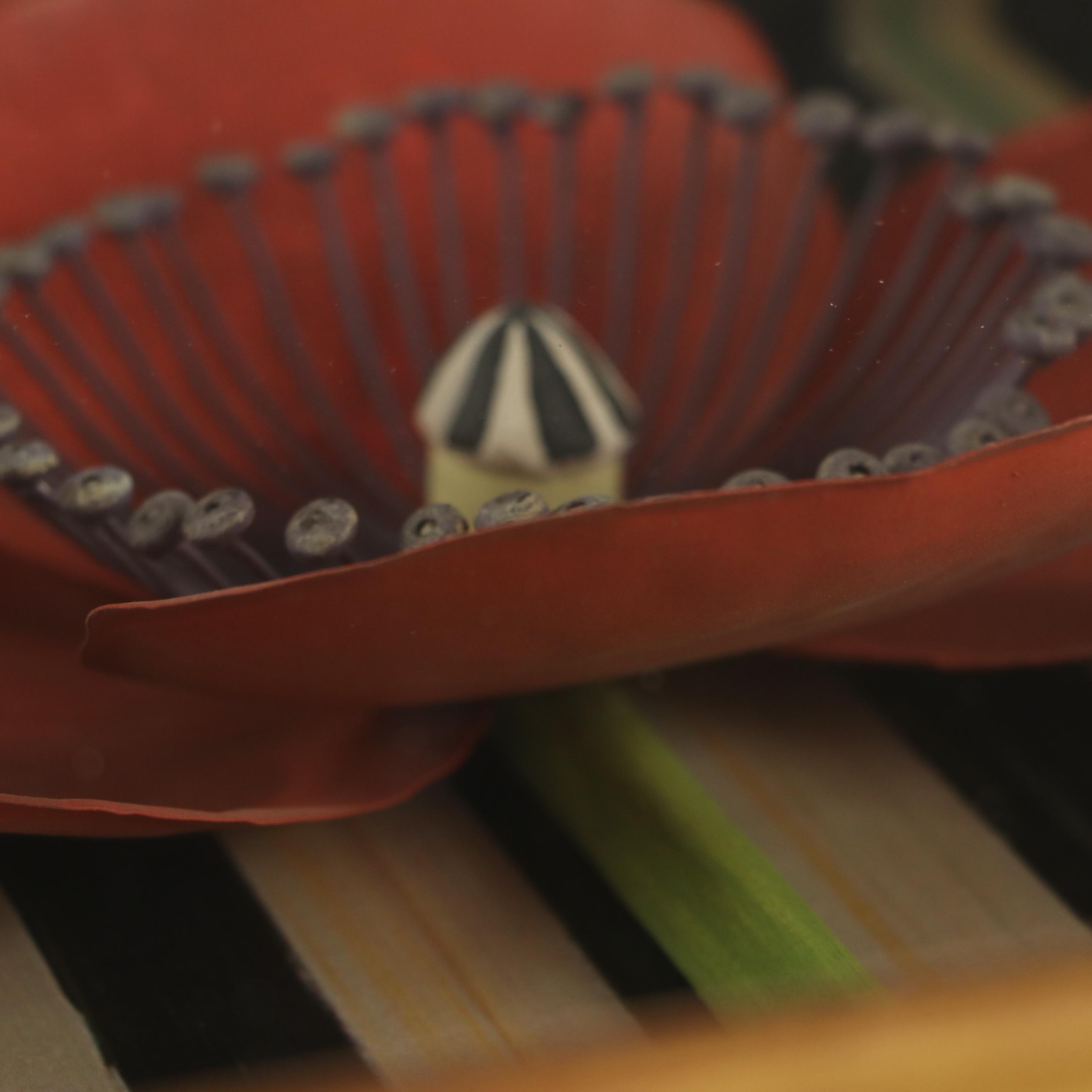 MacKenzie-Childs Three-Dimensional Poppy Shadow Box