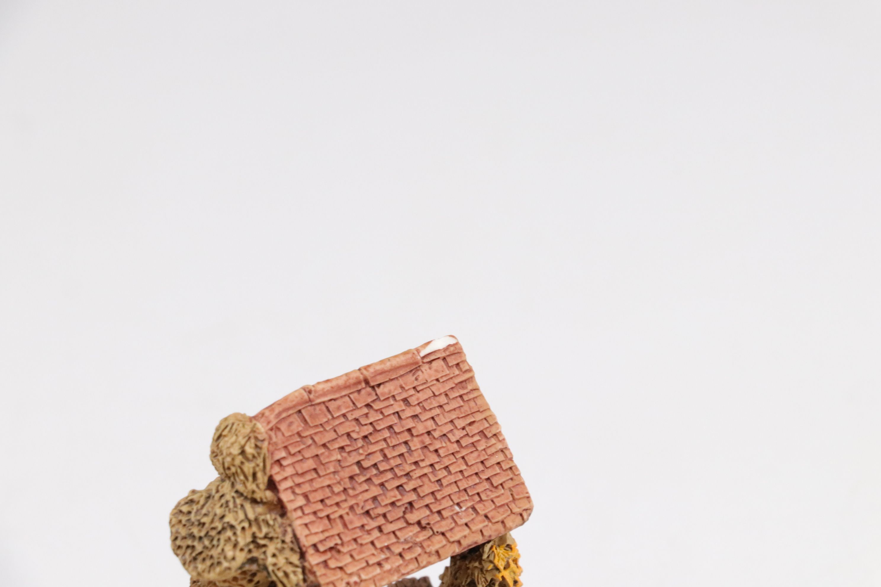 Lilliput Lane Collector's Club Village Cottages with "Secret Garden" and More