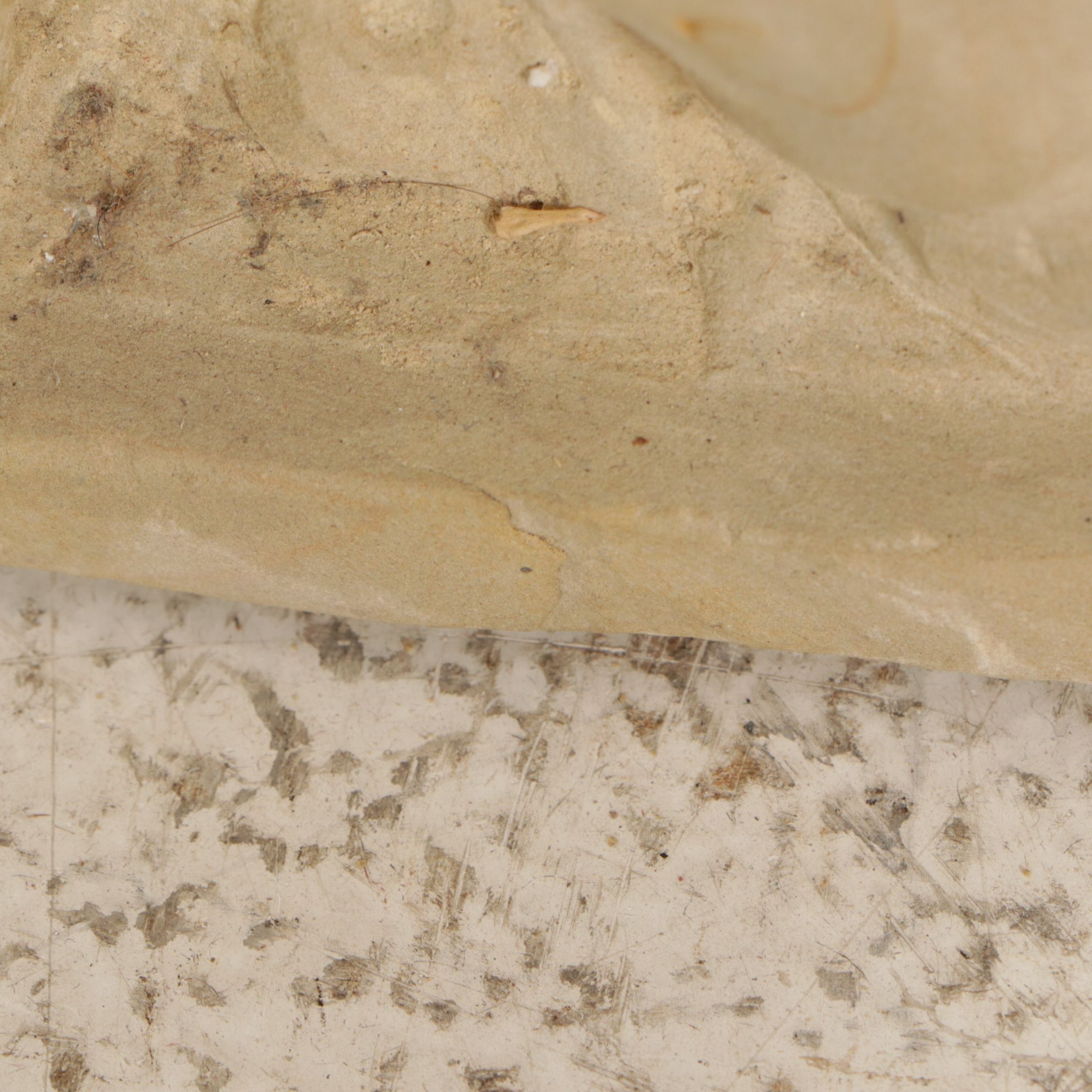 Stone Garden Statue of Homestead & Farm Animals