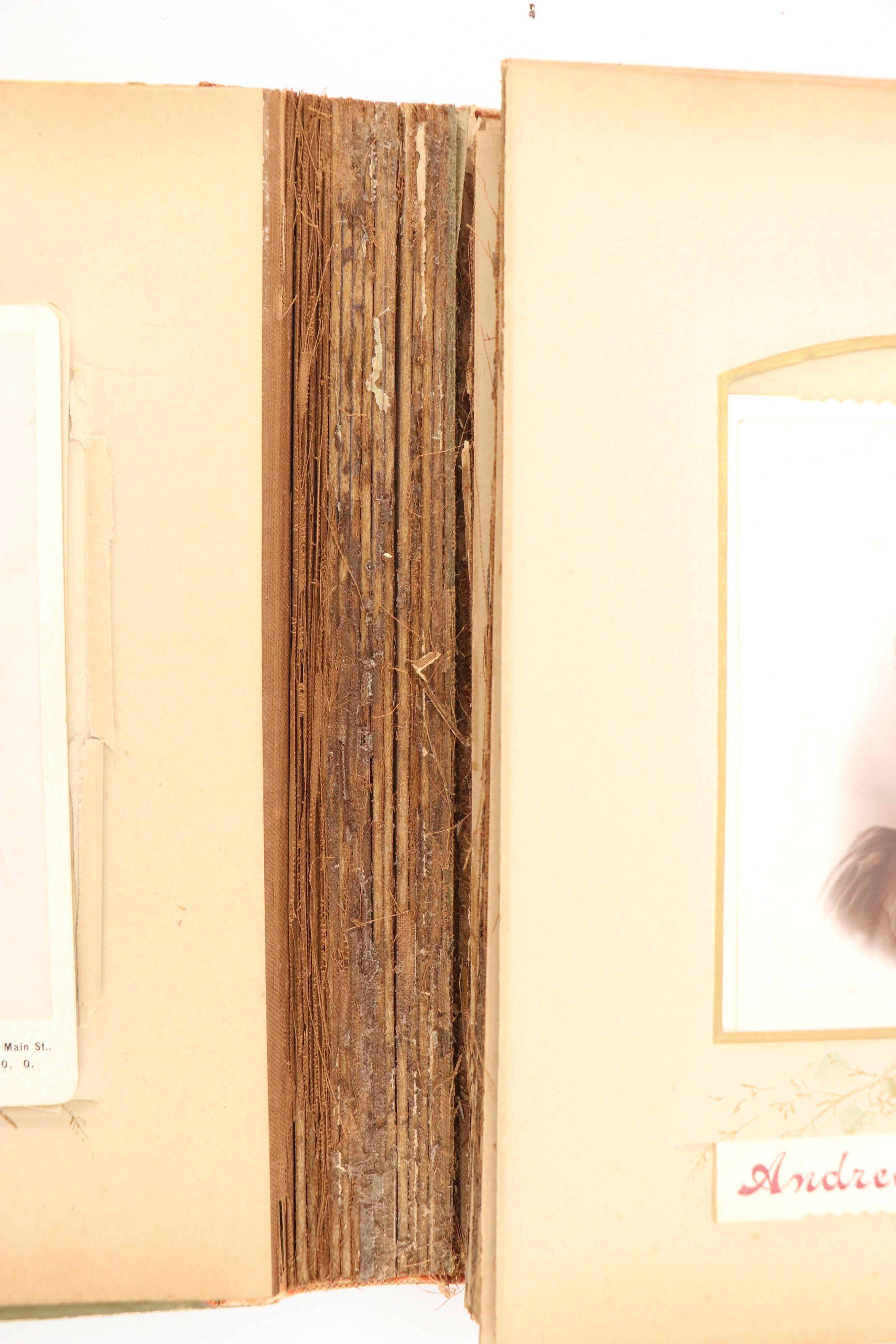 Portraits of Men, Women and Children in Albums, Late 19th/Early 20th Century