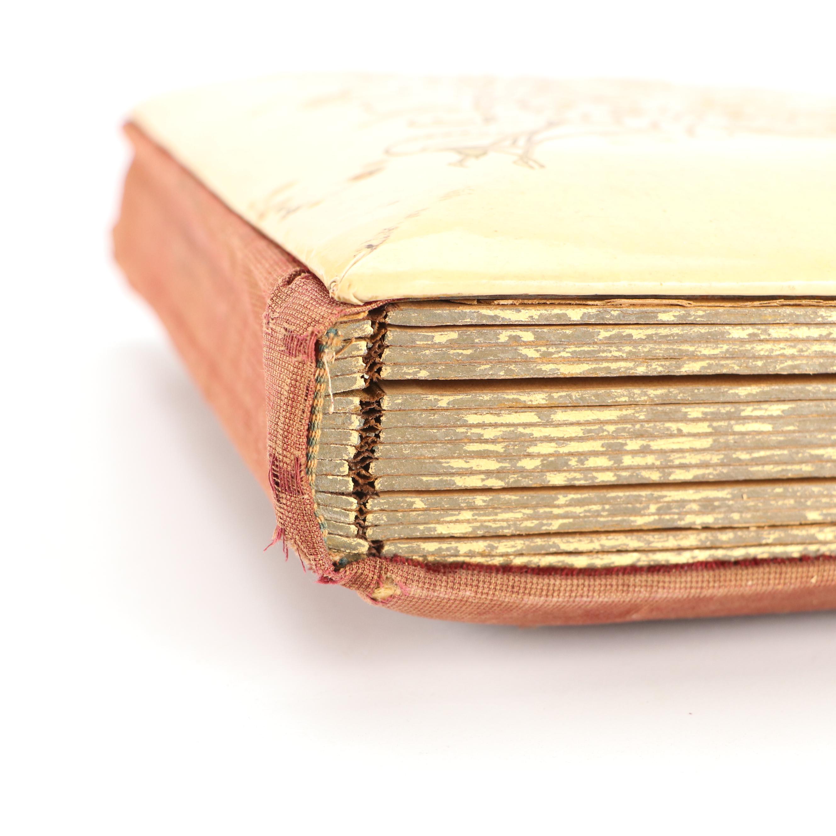 Portraits of Men, Women and Children in Albums, Late 19th/Early 20th Century