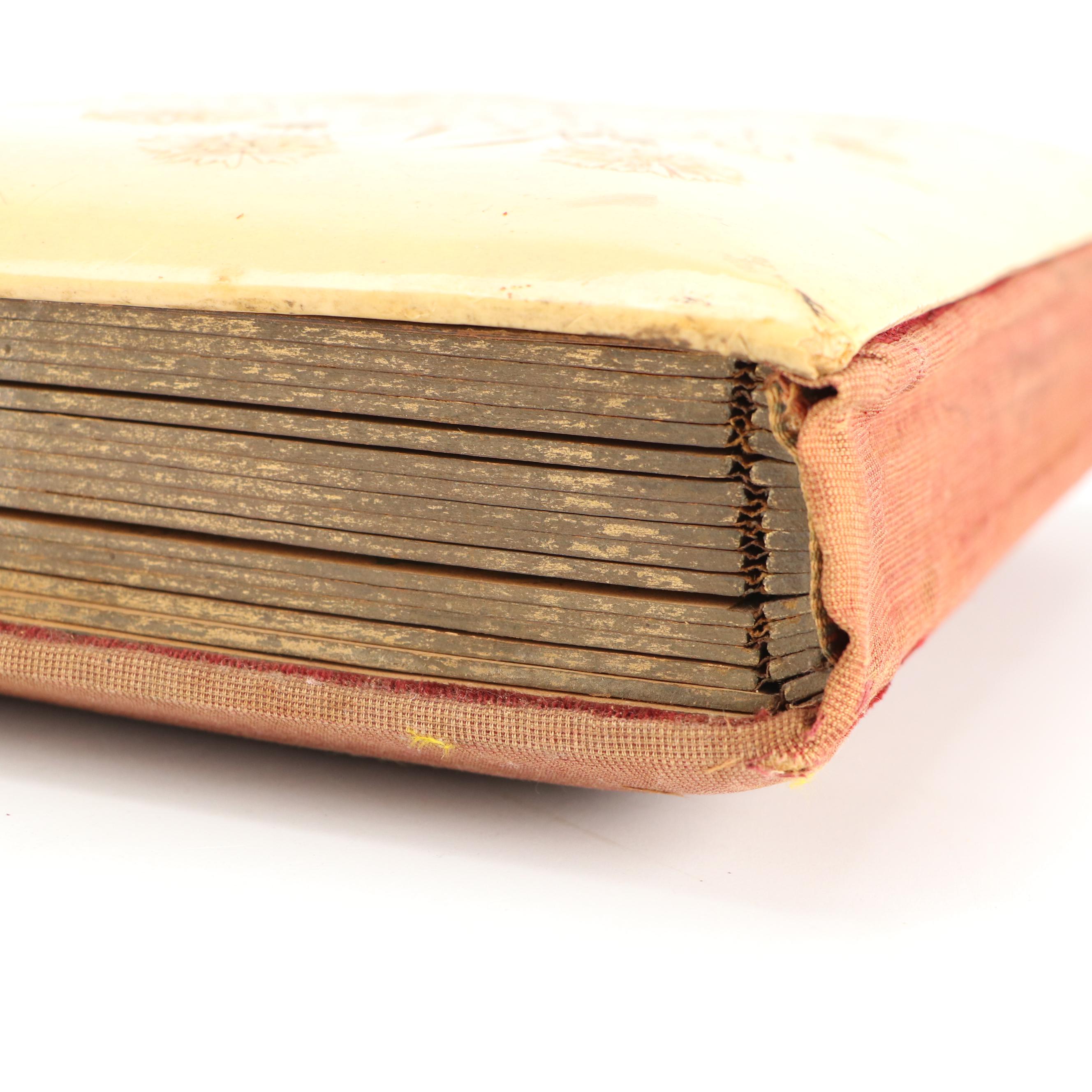 Portraits of Men, Women and Children in Albums, Late 19th/Early 20th Century