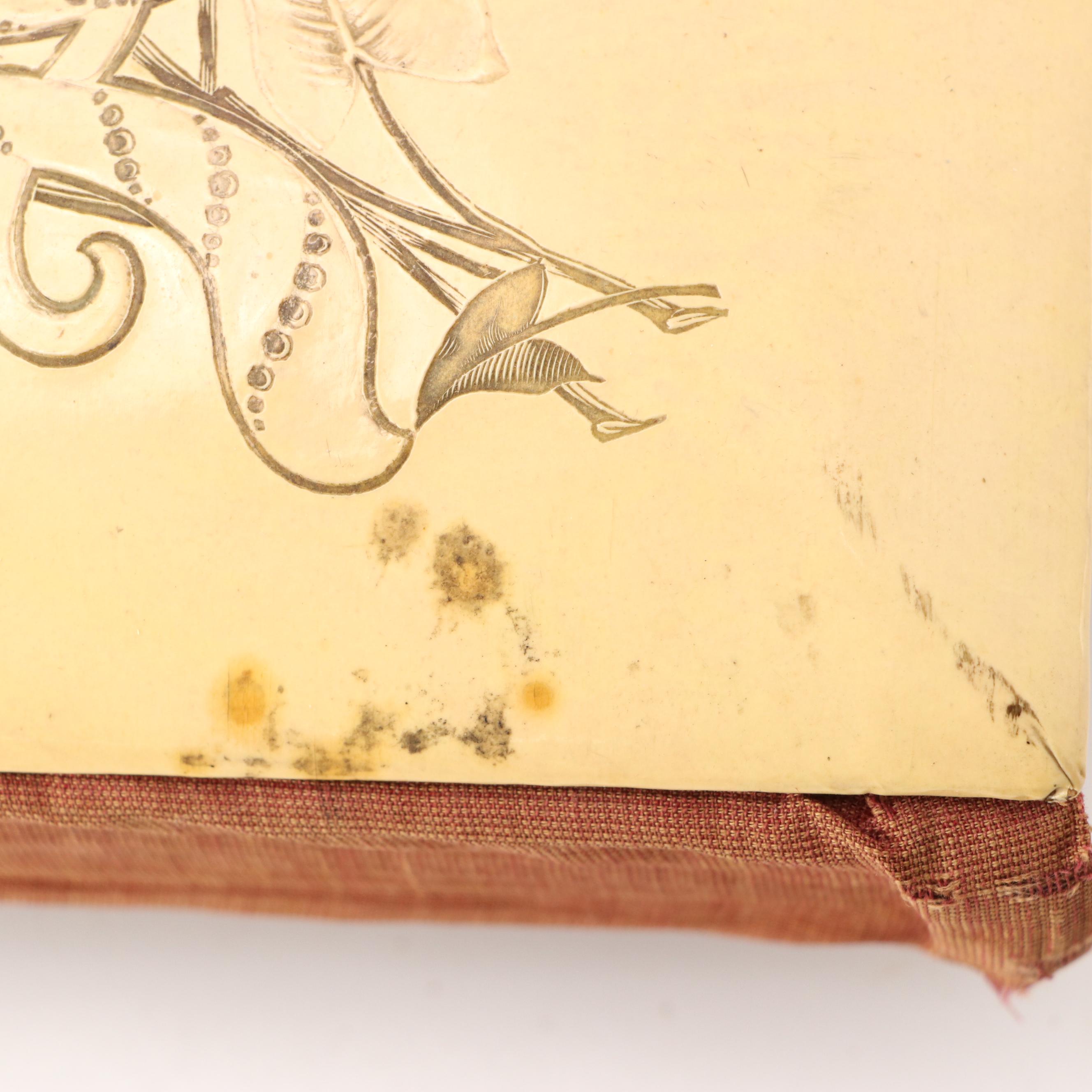 Portraits of Men, Women and Children in Albums, Late 19th/Early 20th Century