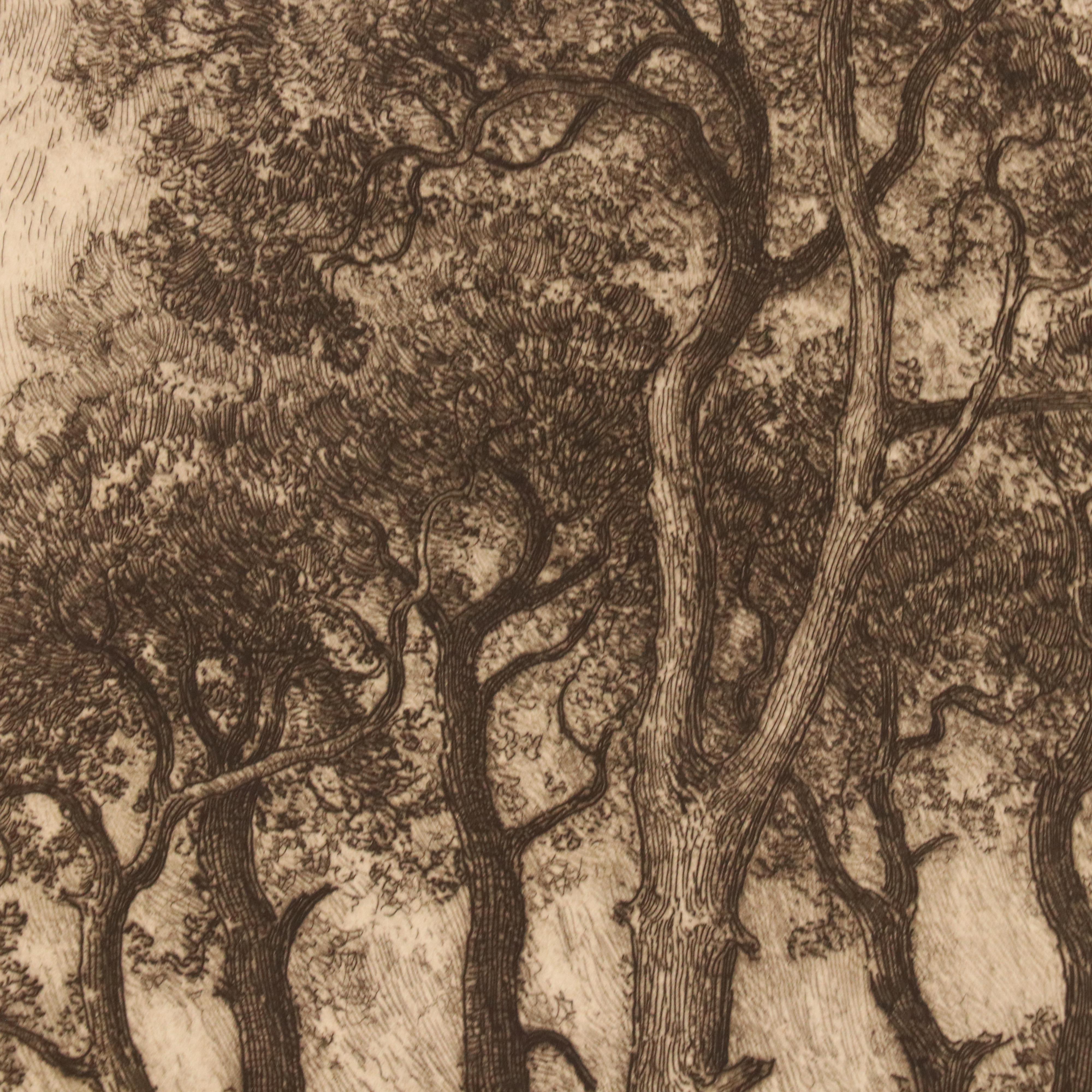 John Fullwood Landscape Etchings "English Pines," Late 19th/Early 20th Century