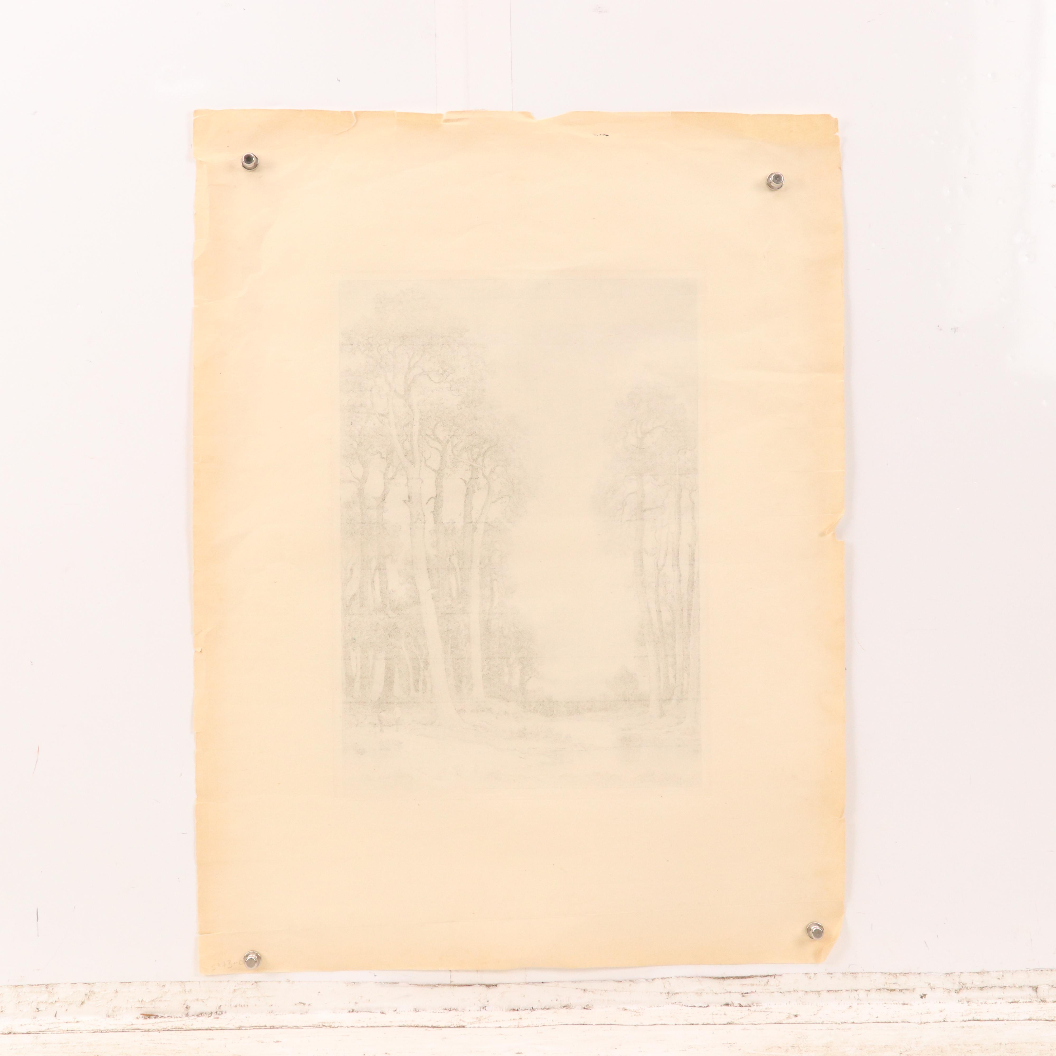 John Fullwood Landscape Etchings "English Pines," Late 19th/Early 20th Century