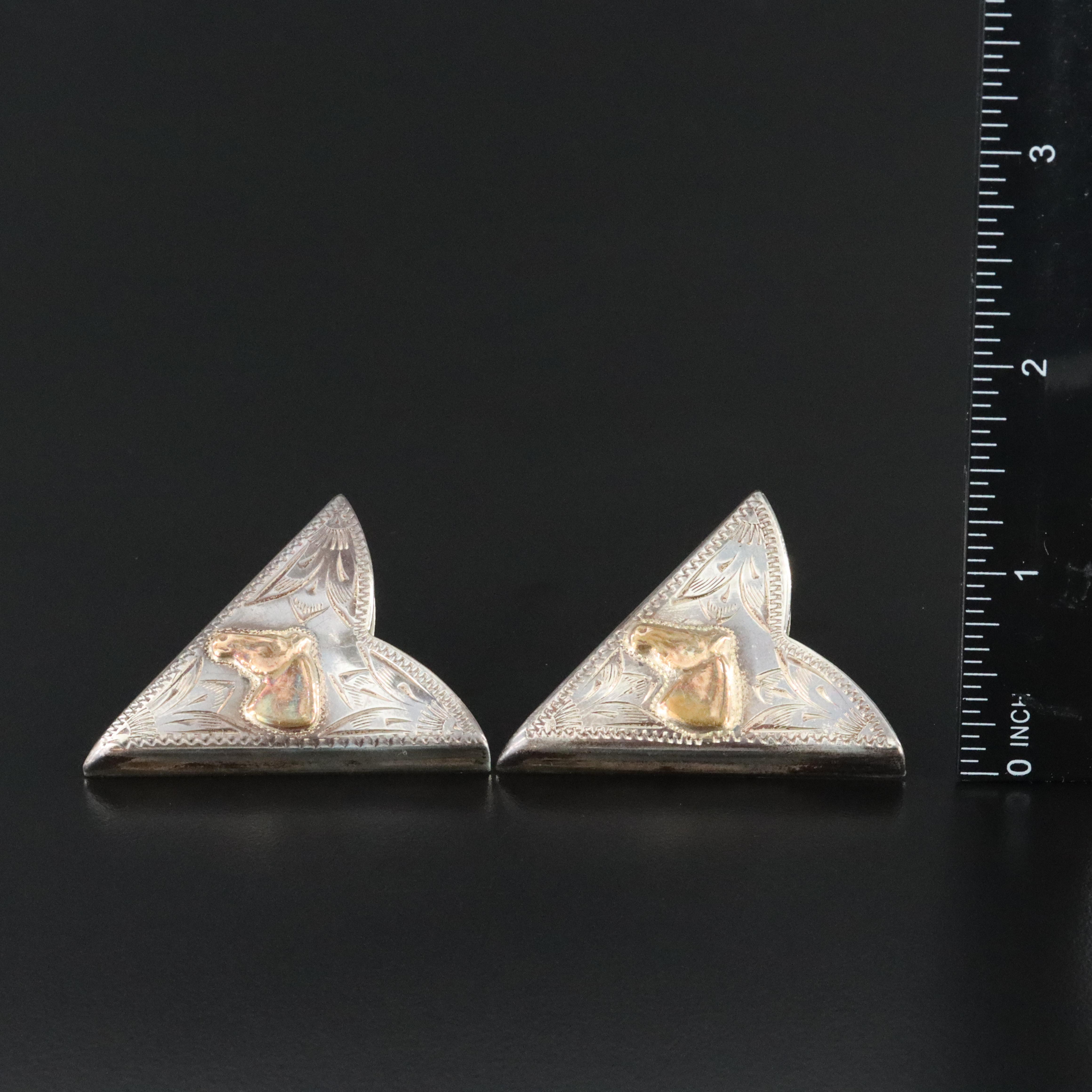Western Ricardo Sterling and Brass Horse Collar Tips