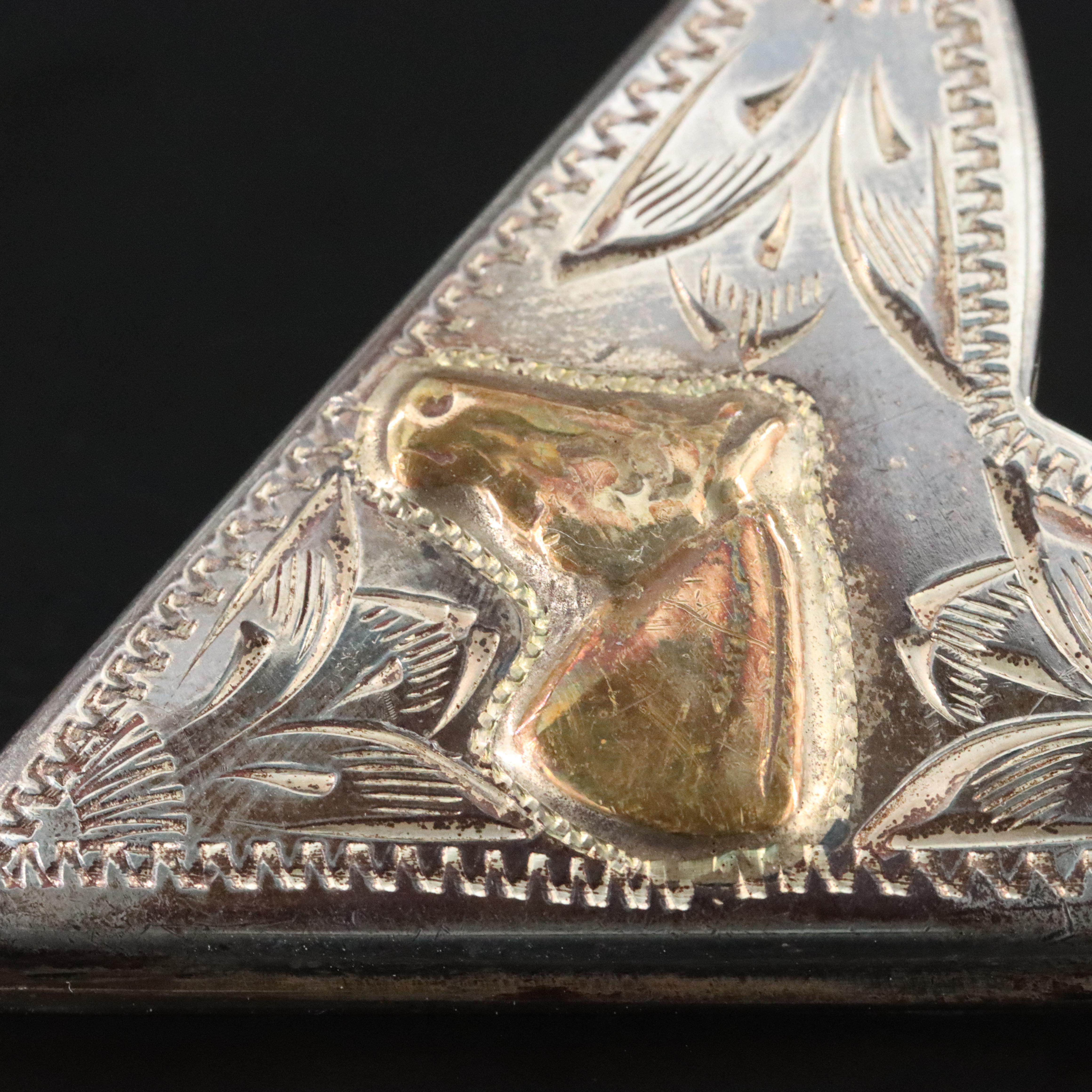 Western Ricardo Sterling and Brass Horse Collar Tips