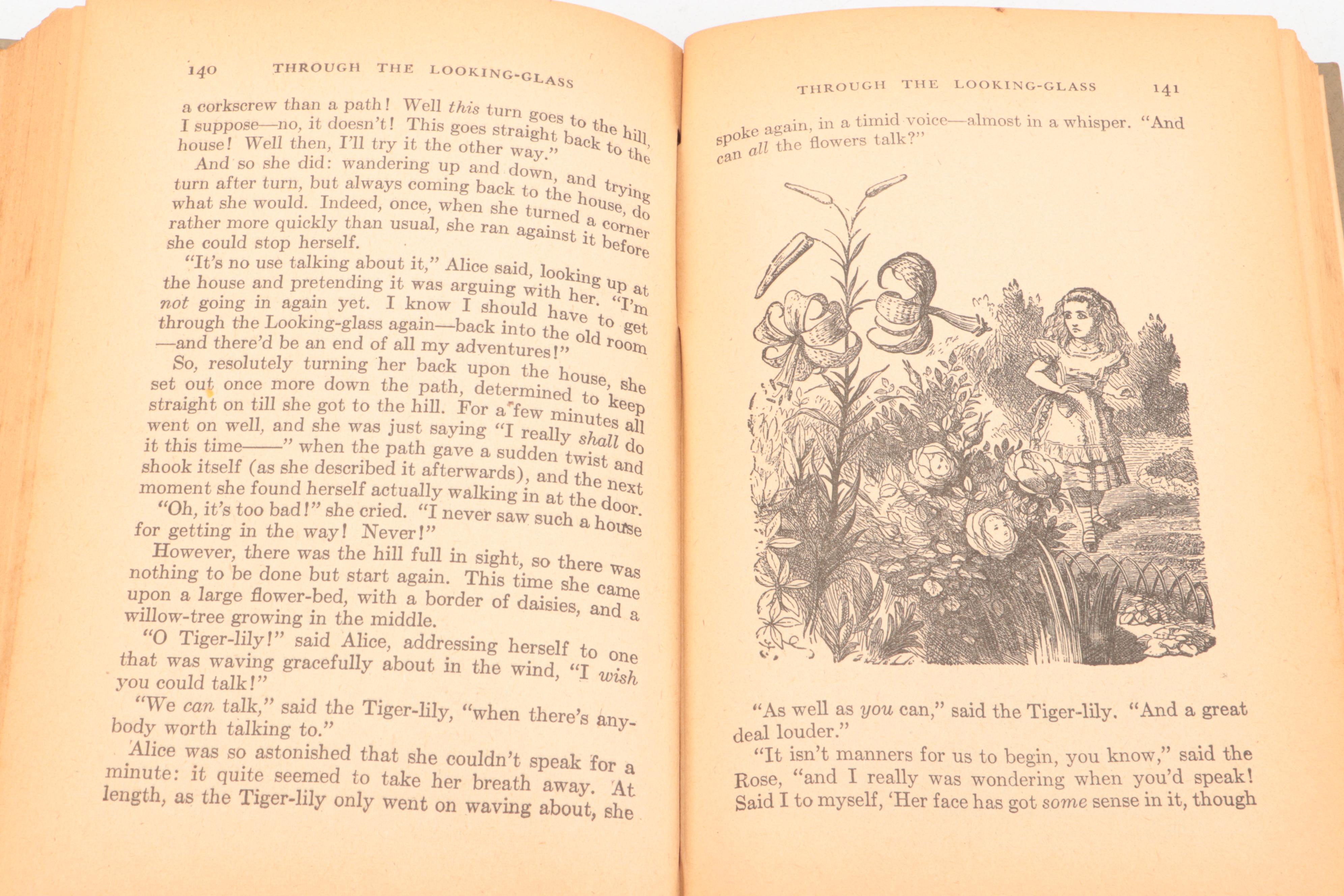 Illustrated "Alice in Wonderland" and "Through the Looking-Glass" By Carroll