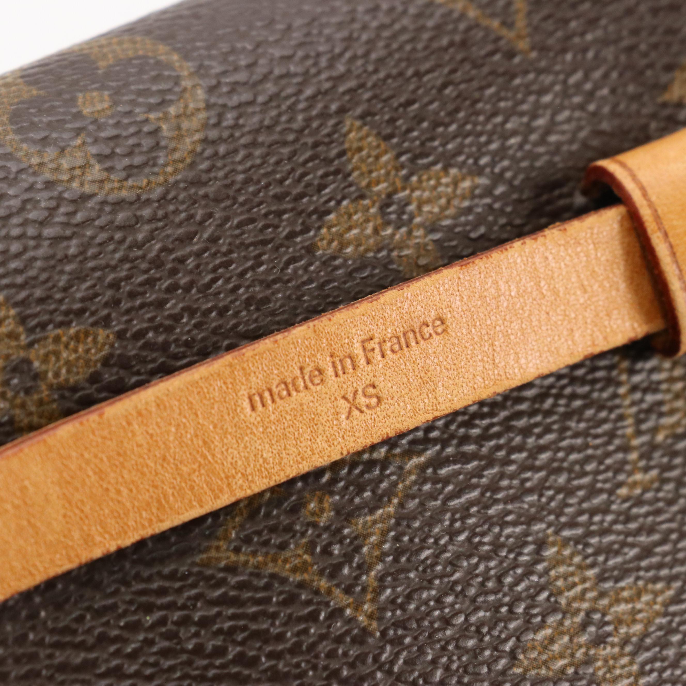 Louis Vuitton Pochette Florentine Belt Bag in Monogram Canvas and Leather
