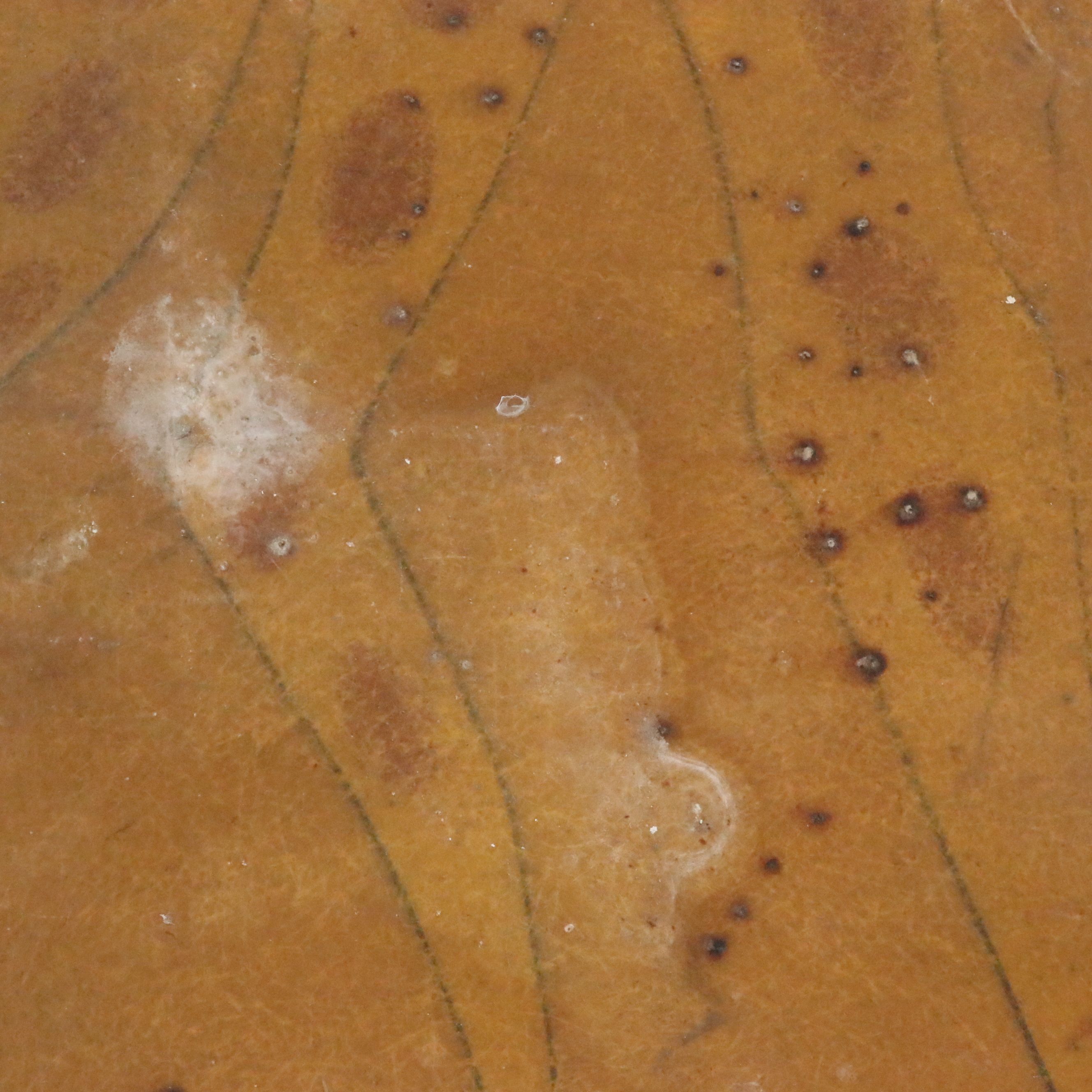 Four Acrylic on Fiberglass Carnival Theme Panels