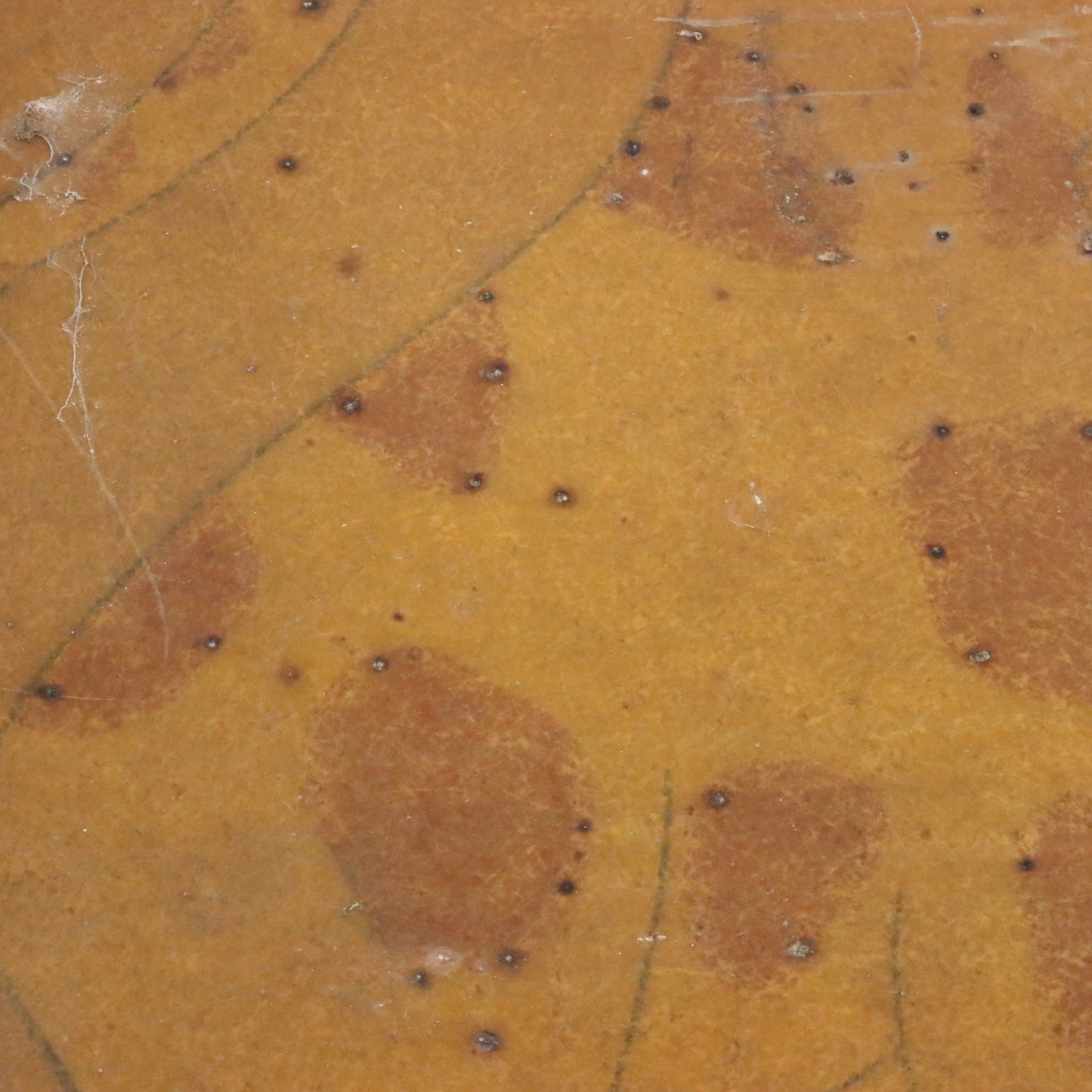 Four Acrylic on Fiberglass Carnival Theme Panels