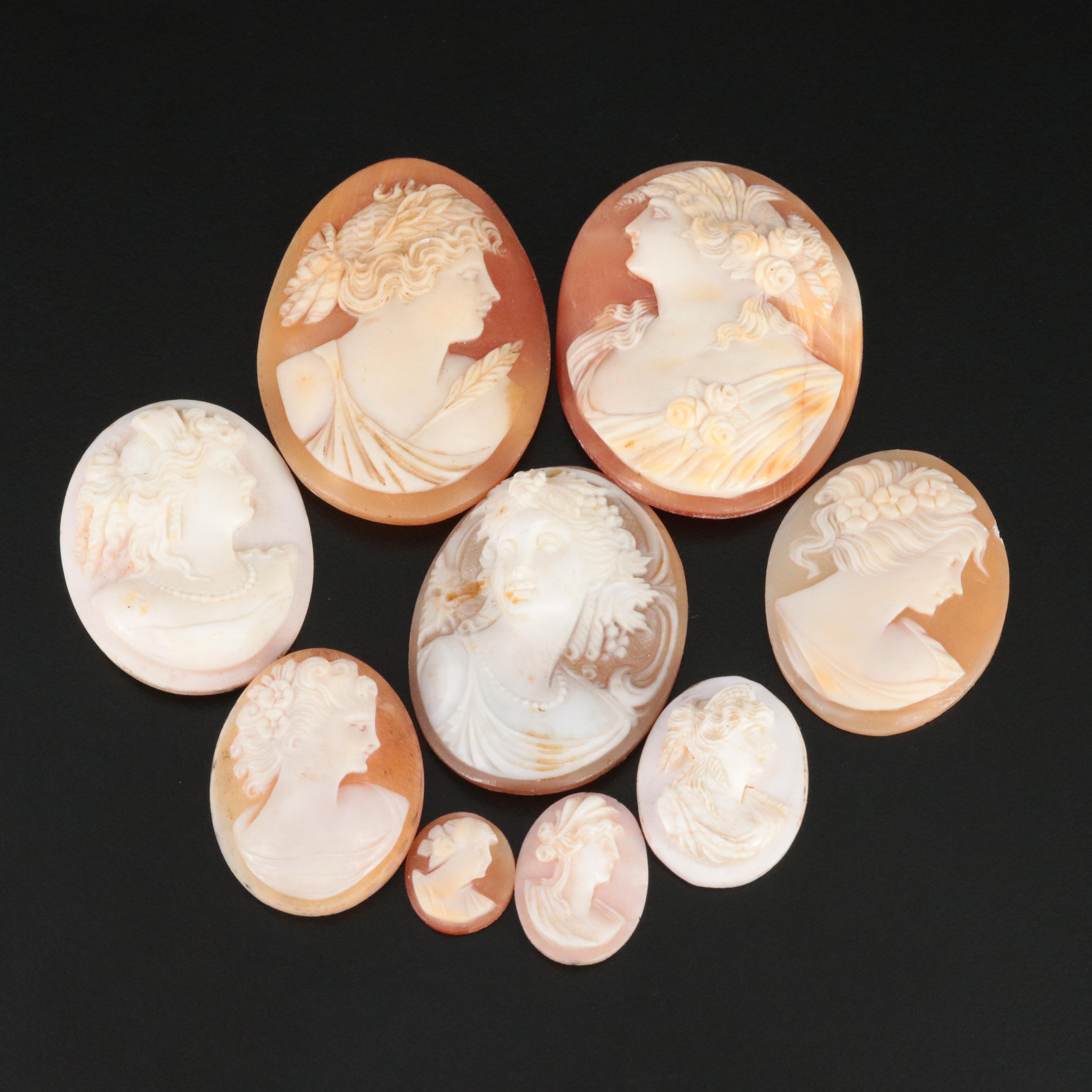 Loose Oval Carved Shell Cameo Lot