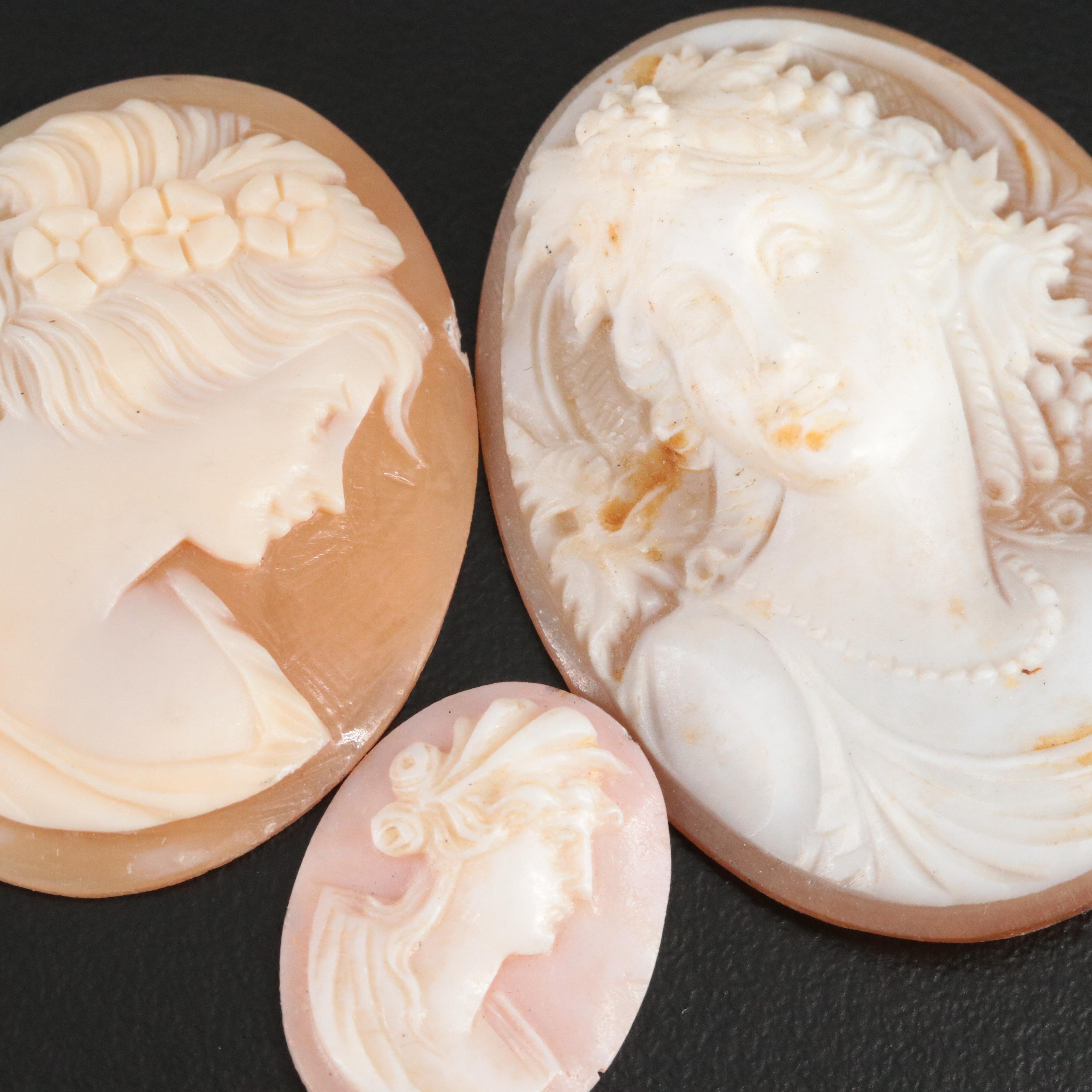 Loose Oval Carved Shell Cameo Lot