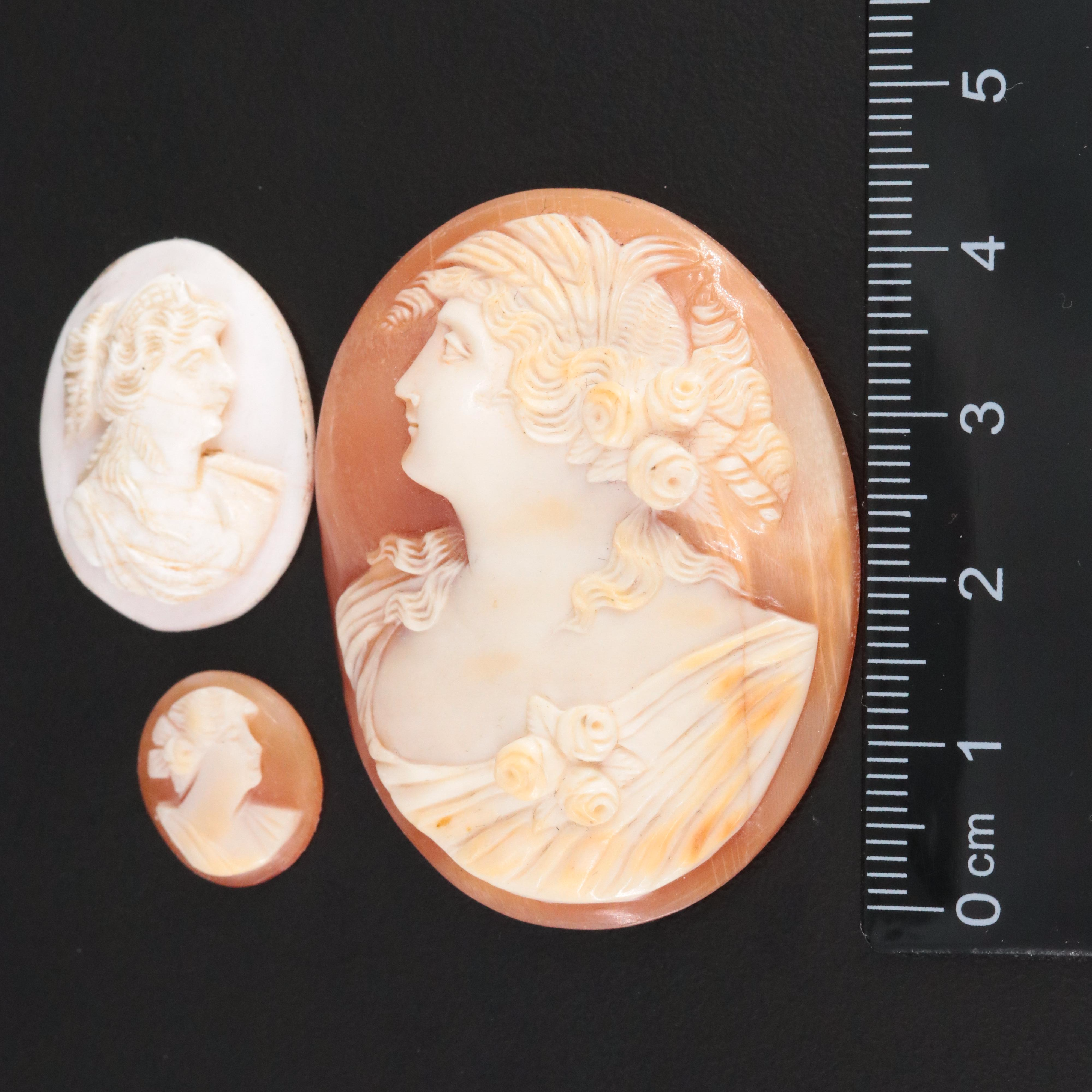 Loose Oval Carved Shell Cameo Lot