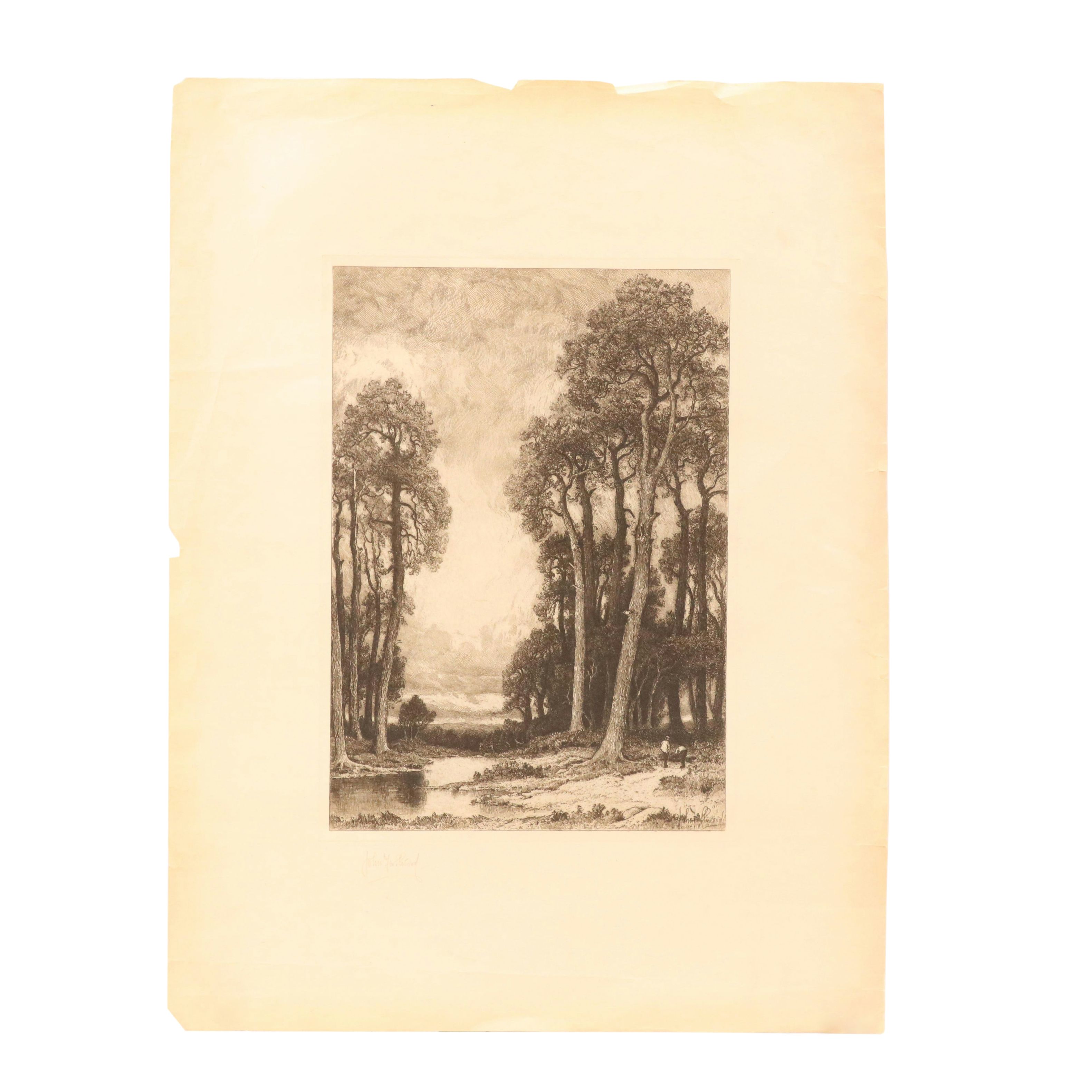 John Fullwood Landscape Etchings "English Pines," Late 19th/Early 20th Century