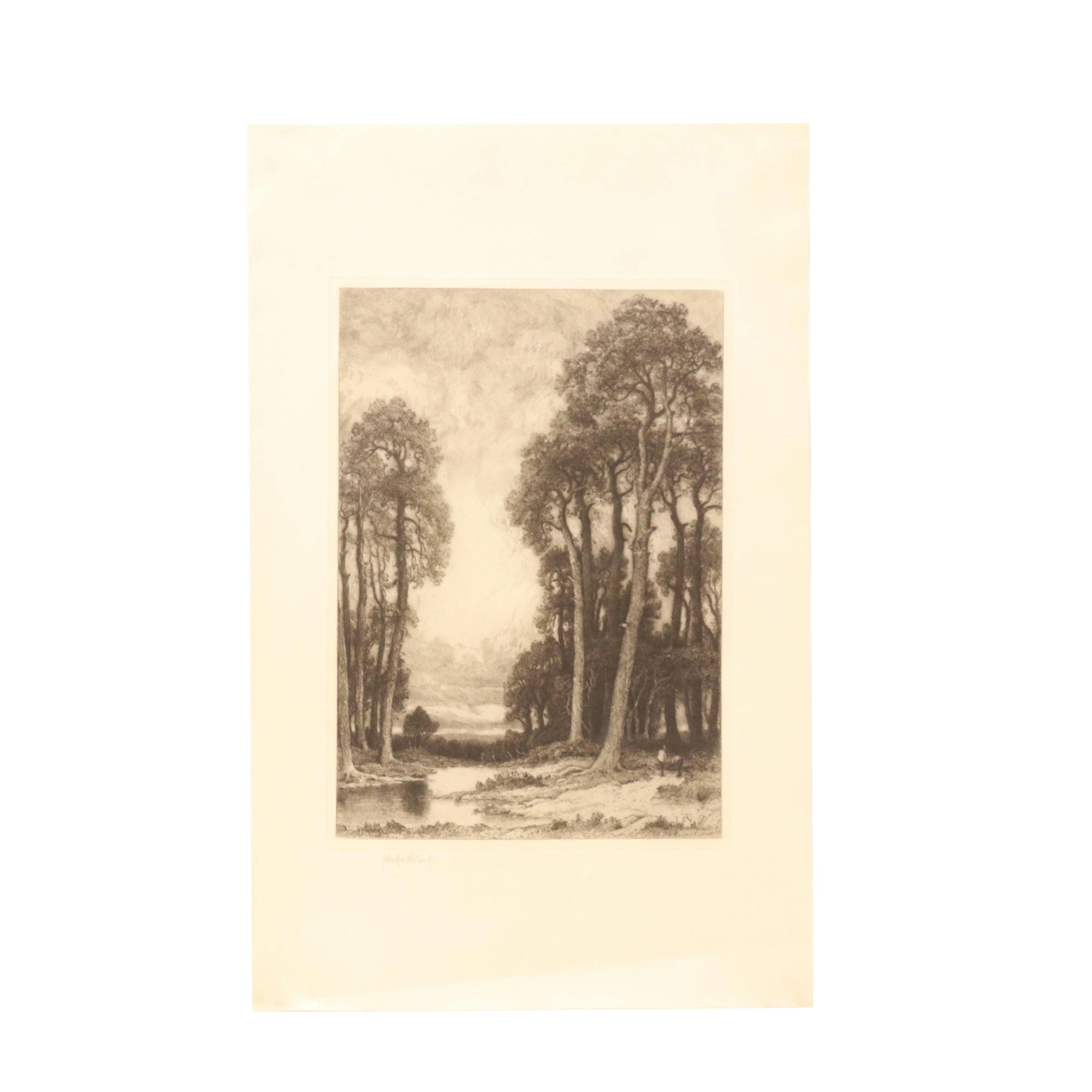 John Fullwood Landscape Etchings "English Pines," Late 19th/Early 20th Century