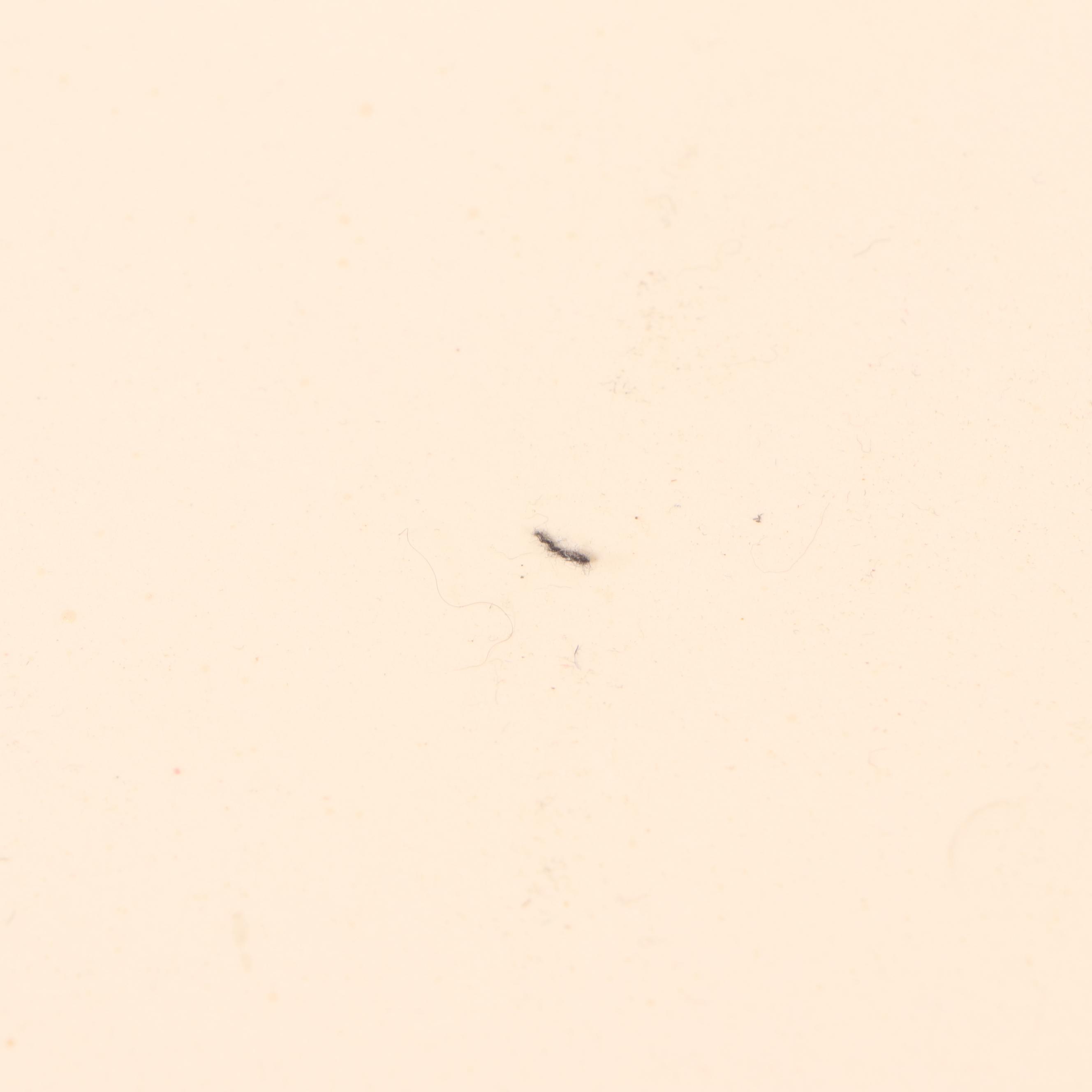 Queen Anne Style Painted Wood Nine-Piece Dining Set