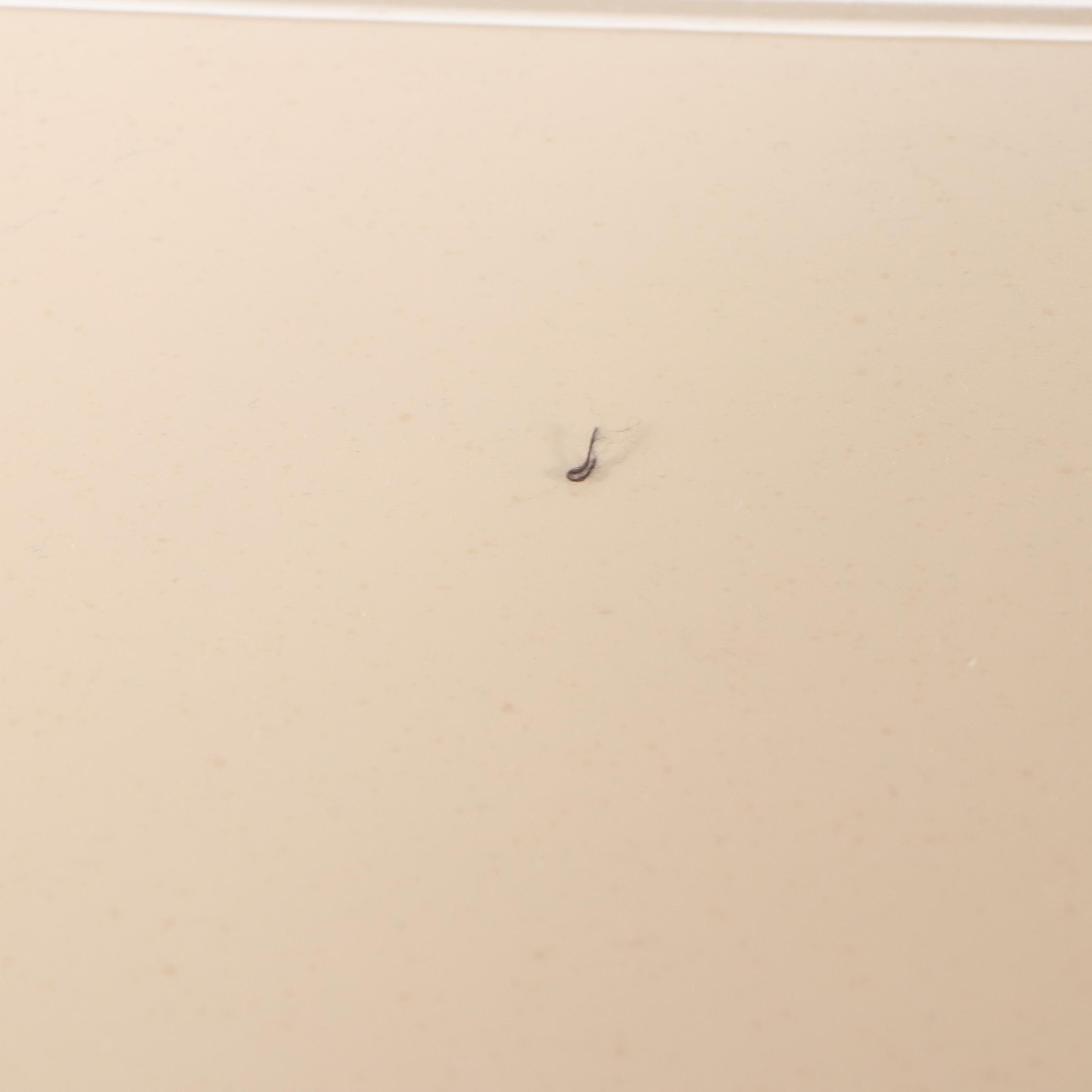 Queen Anne Style Painted Wood Nine-Piece Dining Set