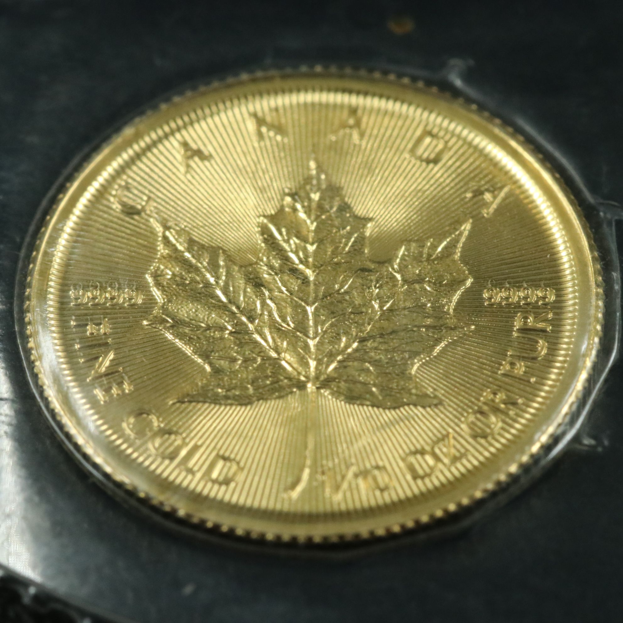 2019 Canada $5 Gold Maple Leaf Coin