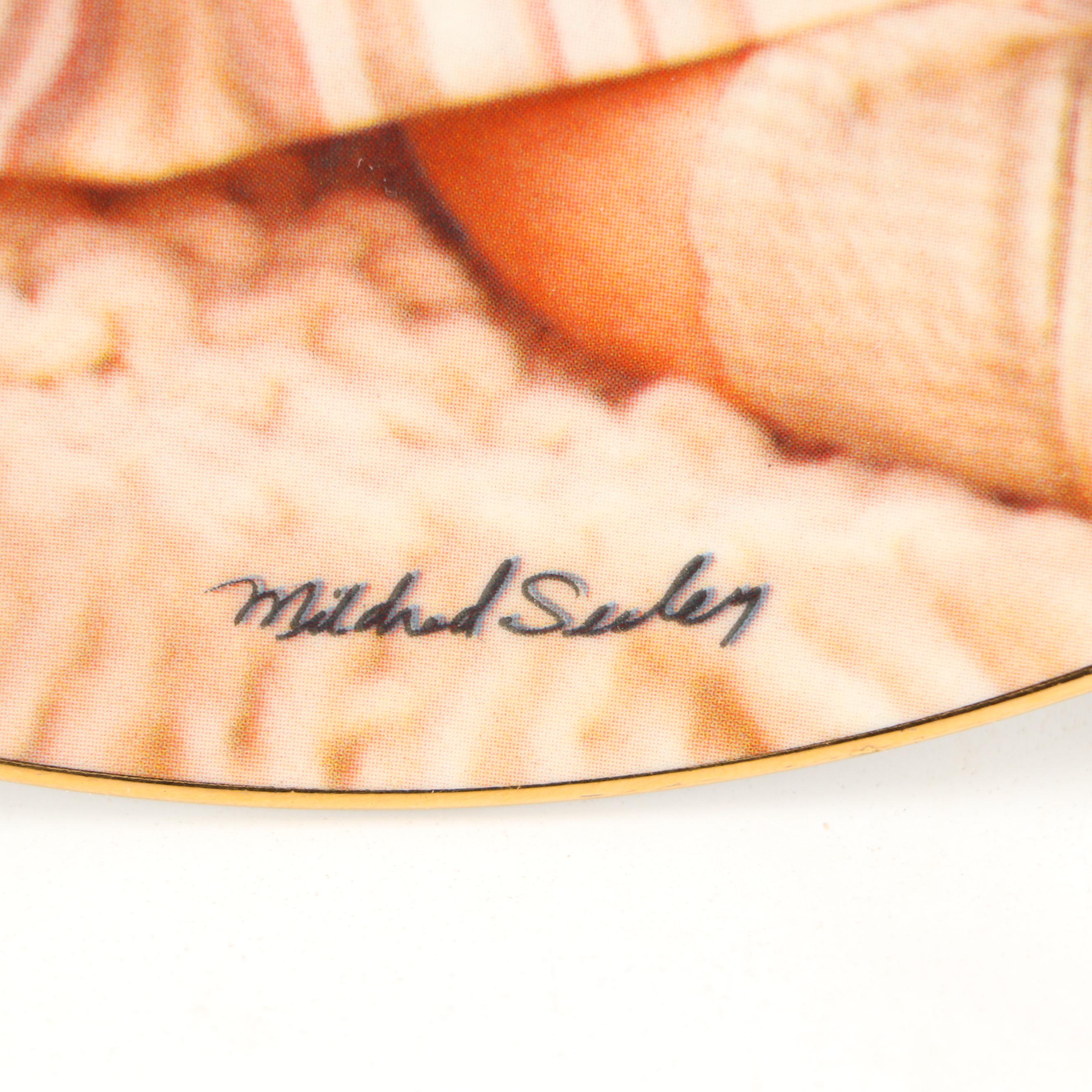 Porcelain Collector Plates with Framed Ribbon Art