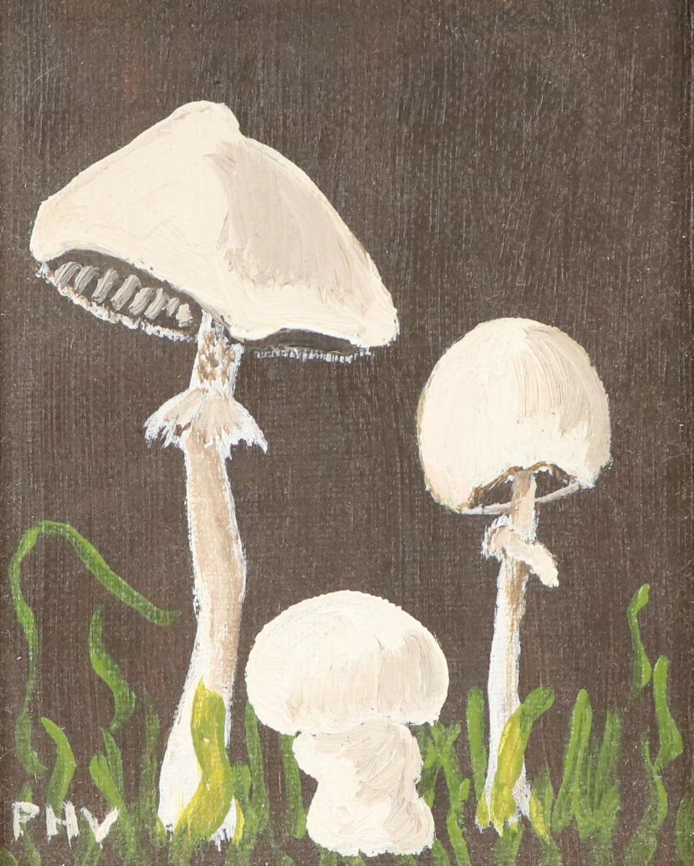 Oil Painting of Mushrooms, Late 20th Century