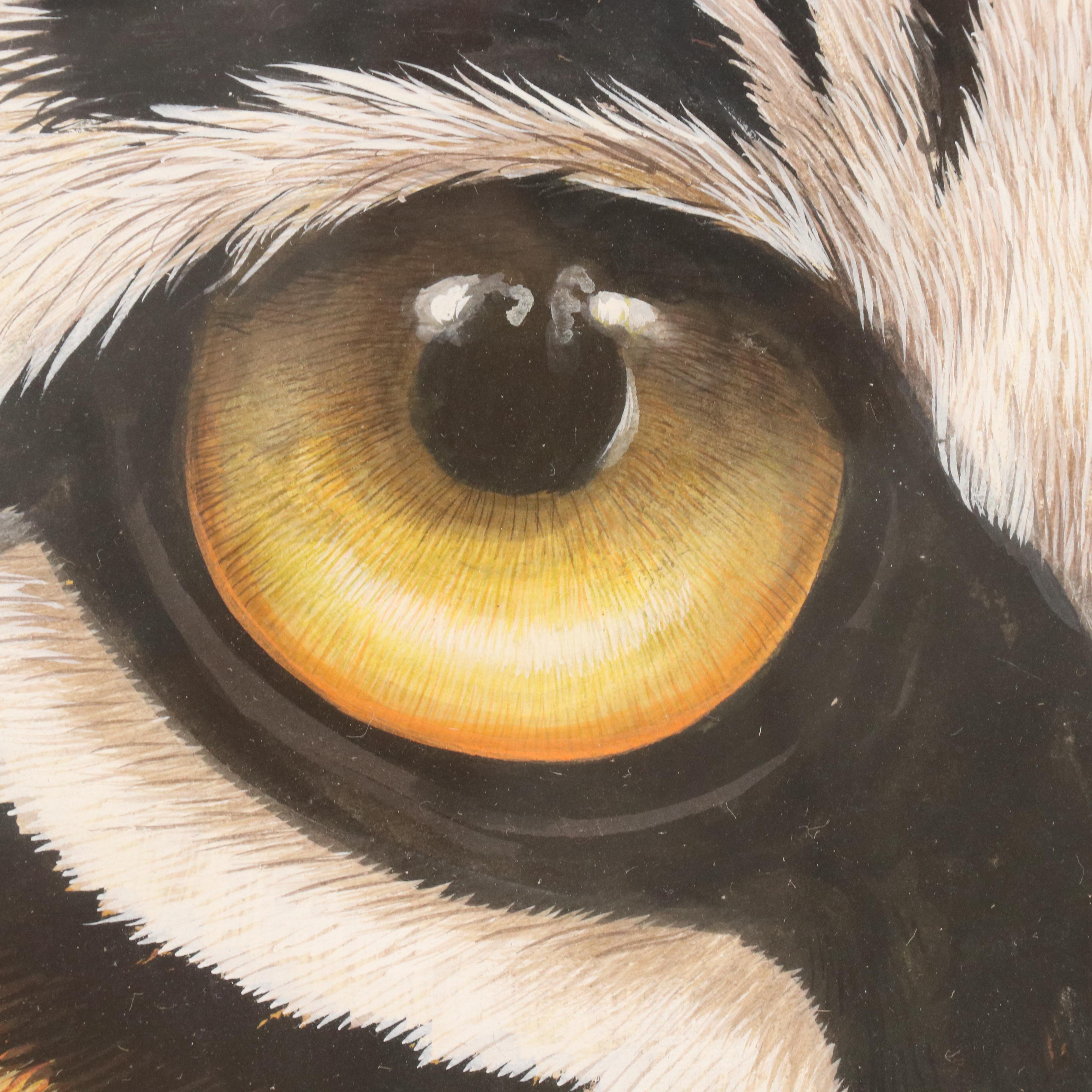 Nilesh Navratan Goutam Gouache Painting of Bengal Tiger Eyes, 2011