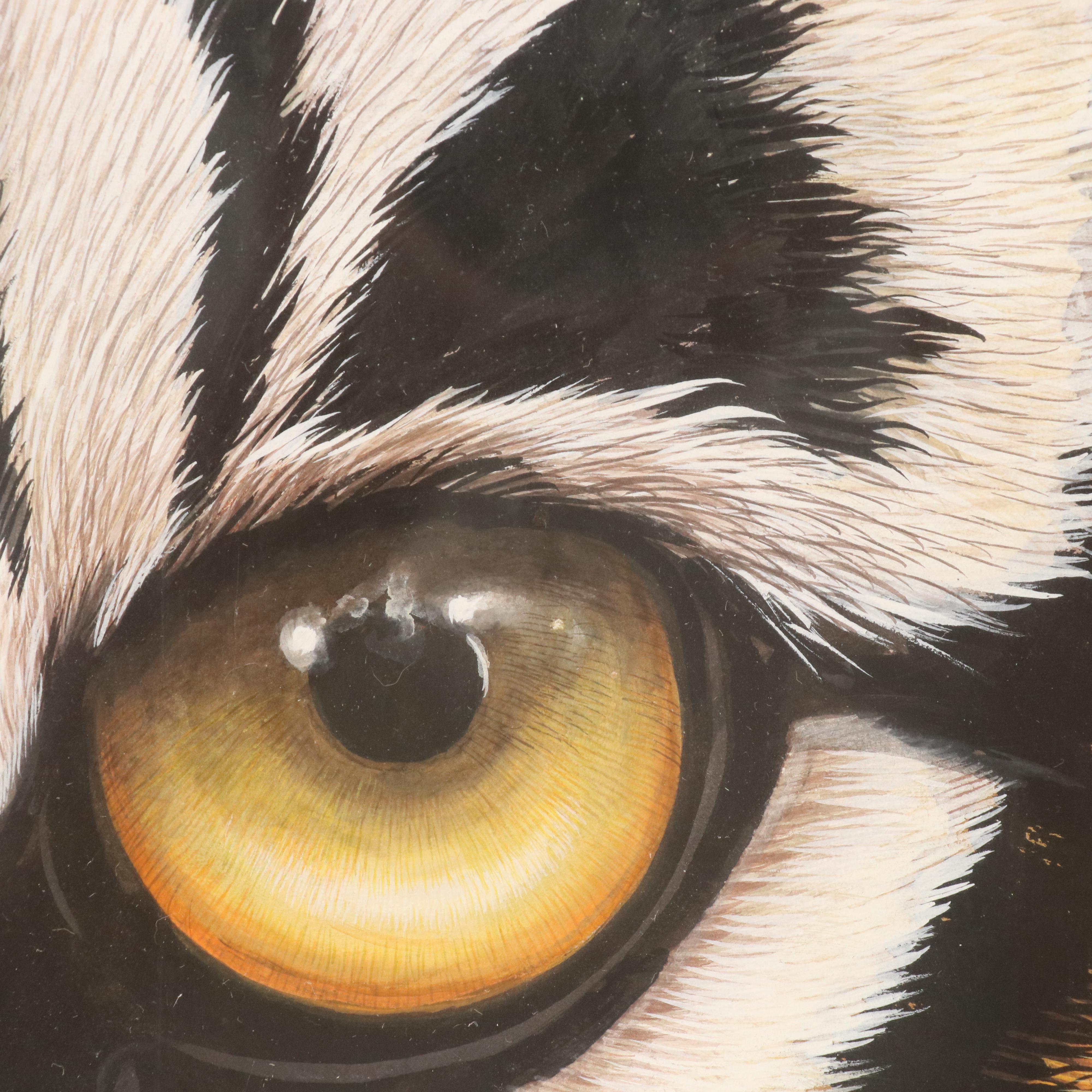 Nilesh Navratan Goutam Gouache Painting of Bengal Tiger Eyes, 2011