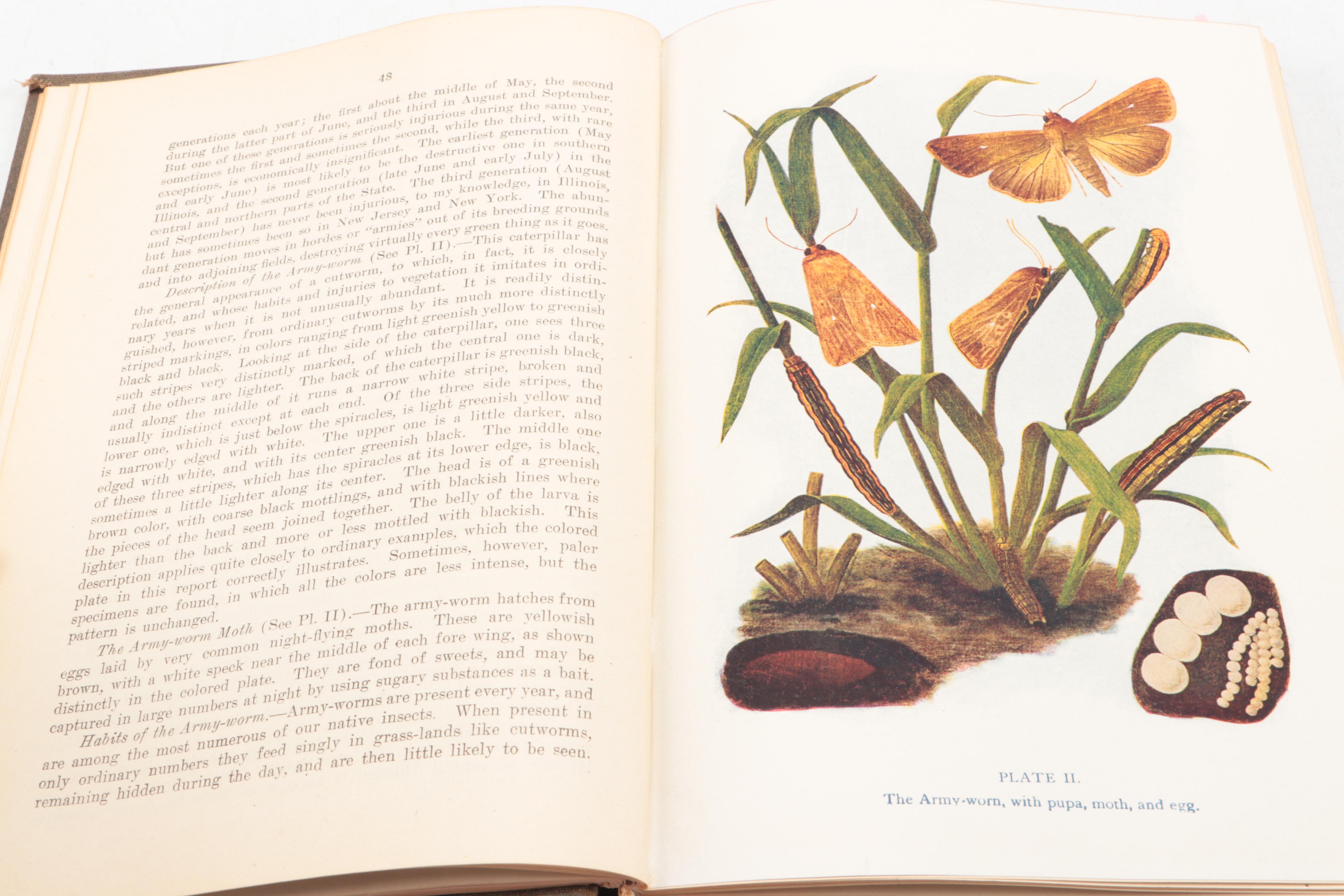 "Report on the Noxious and Beneficial Insects of Illinois" by S. A. Forbes, 1920