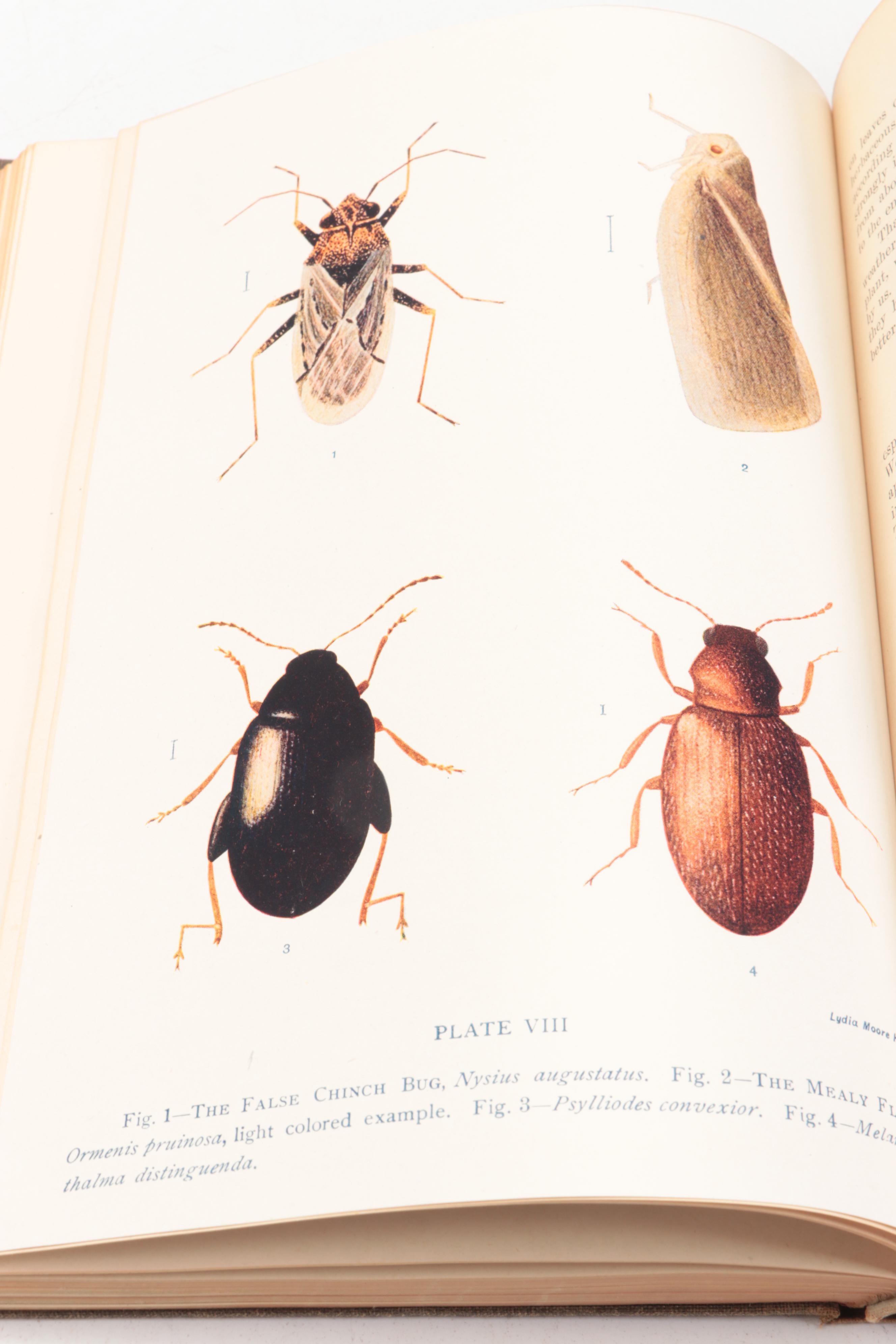 "Report on the Noxious and Beneficial Insects of Illinois" by S. A. Forbes, 1920