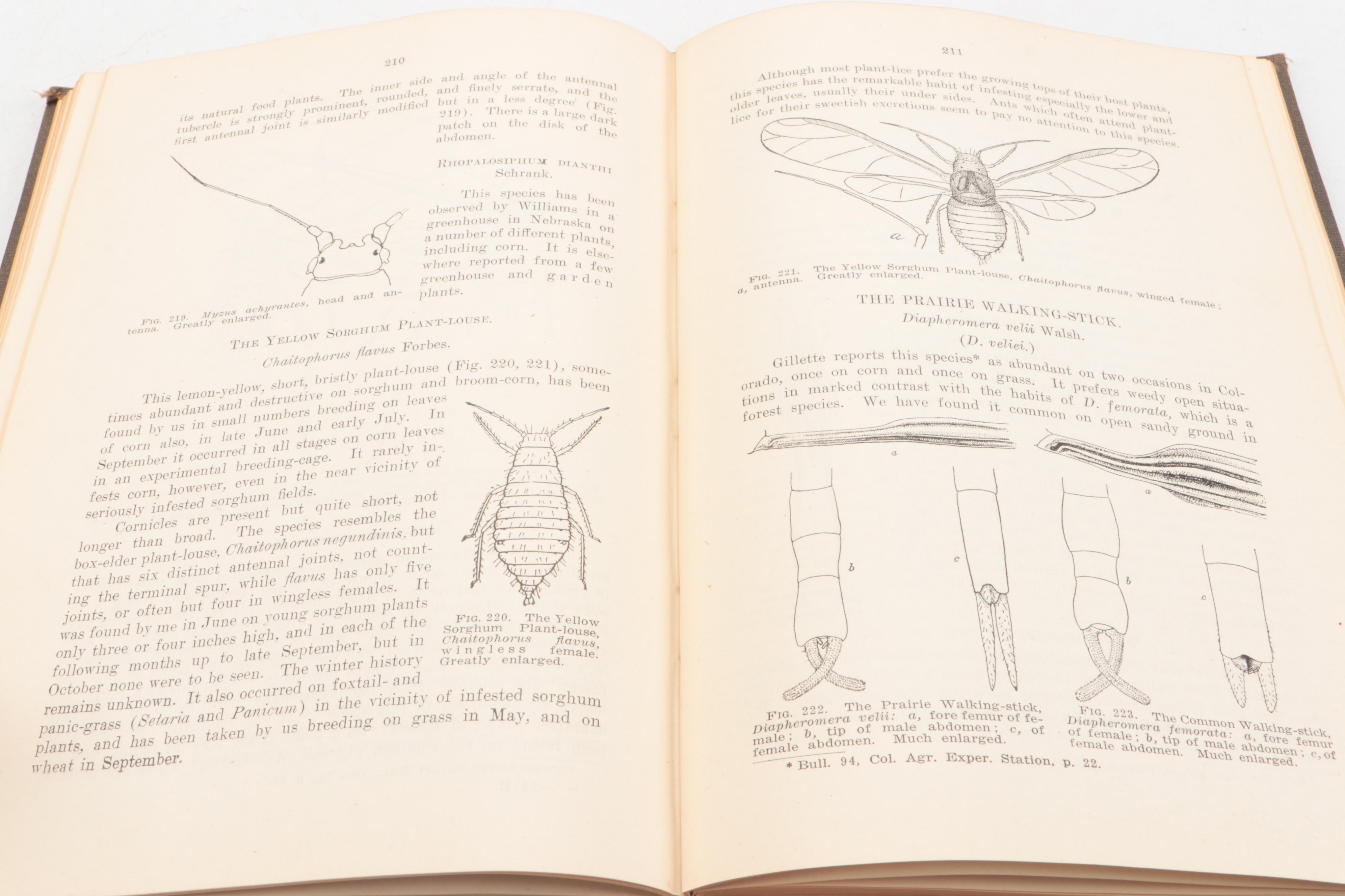 "Report on the Noxious and Beneficial Insects of Illinois" by S. A. Forbes, 1920