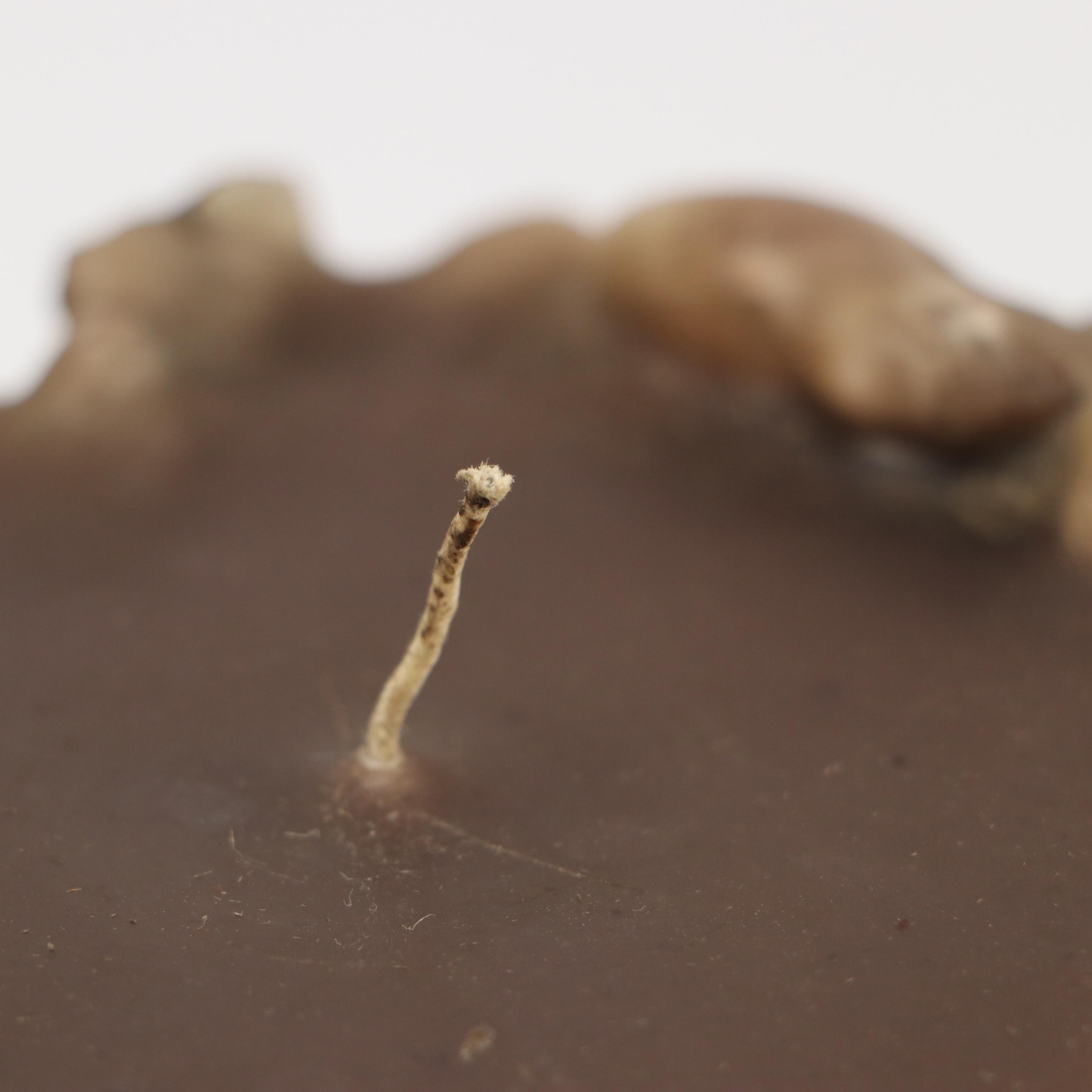 Twisted and Pillar Wax Candles with Other Wooden Candle, Late 20th Century