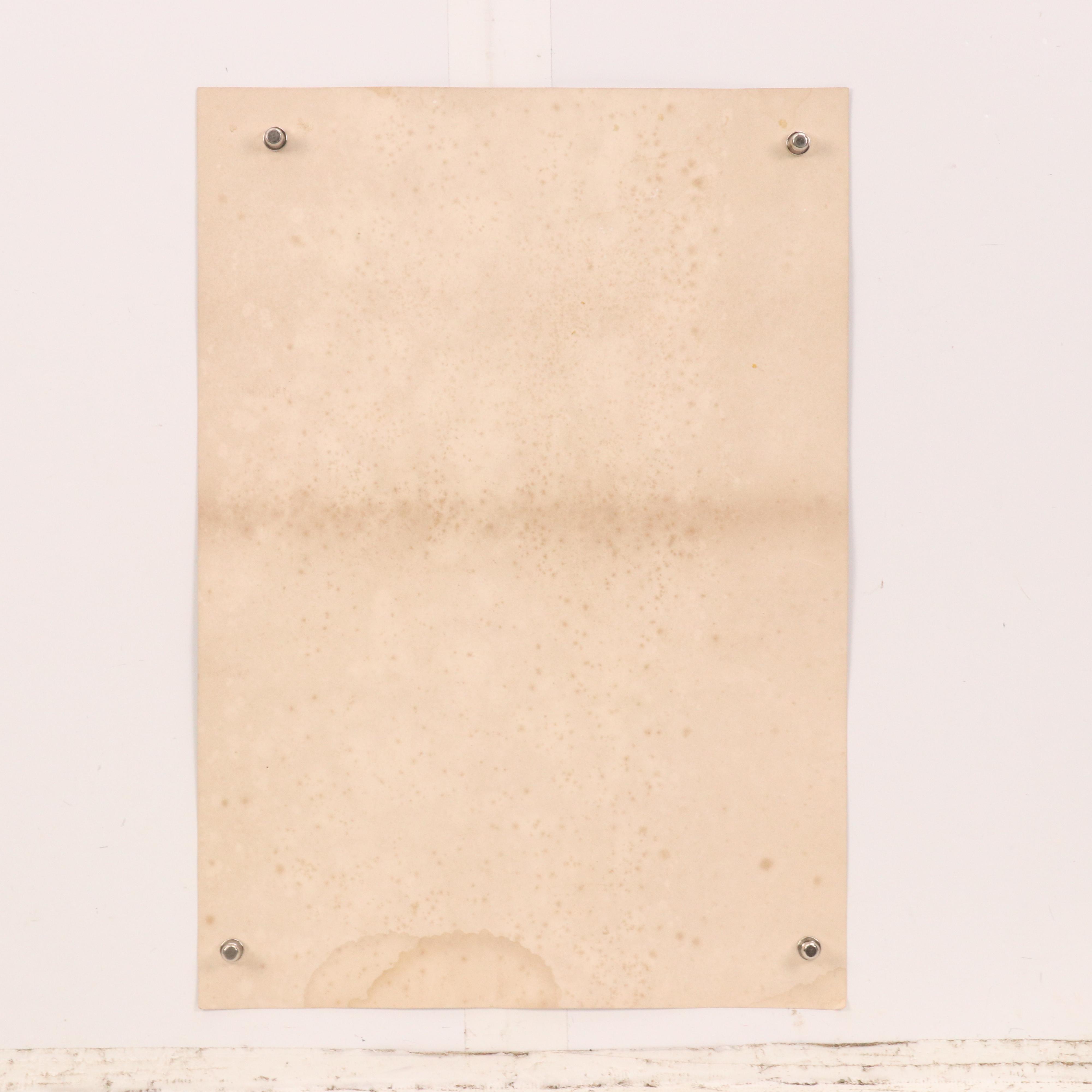 After Cuno Baron Von Bodenhausen Photogravure of Interior With Mother and Baby