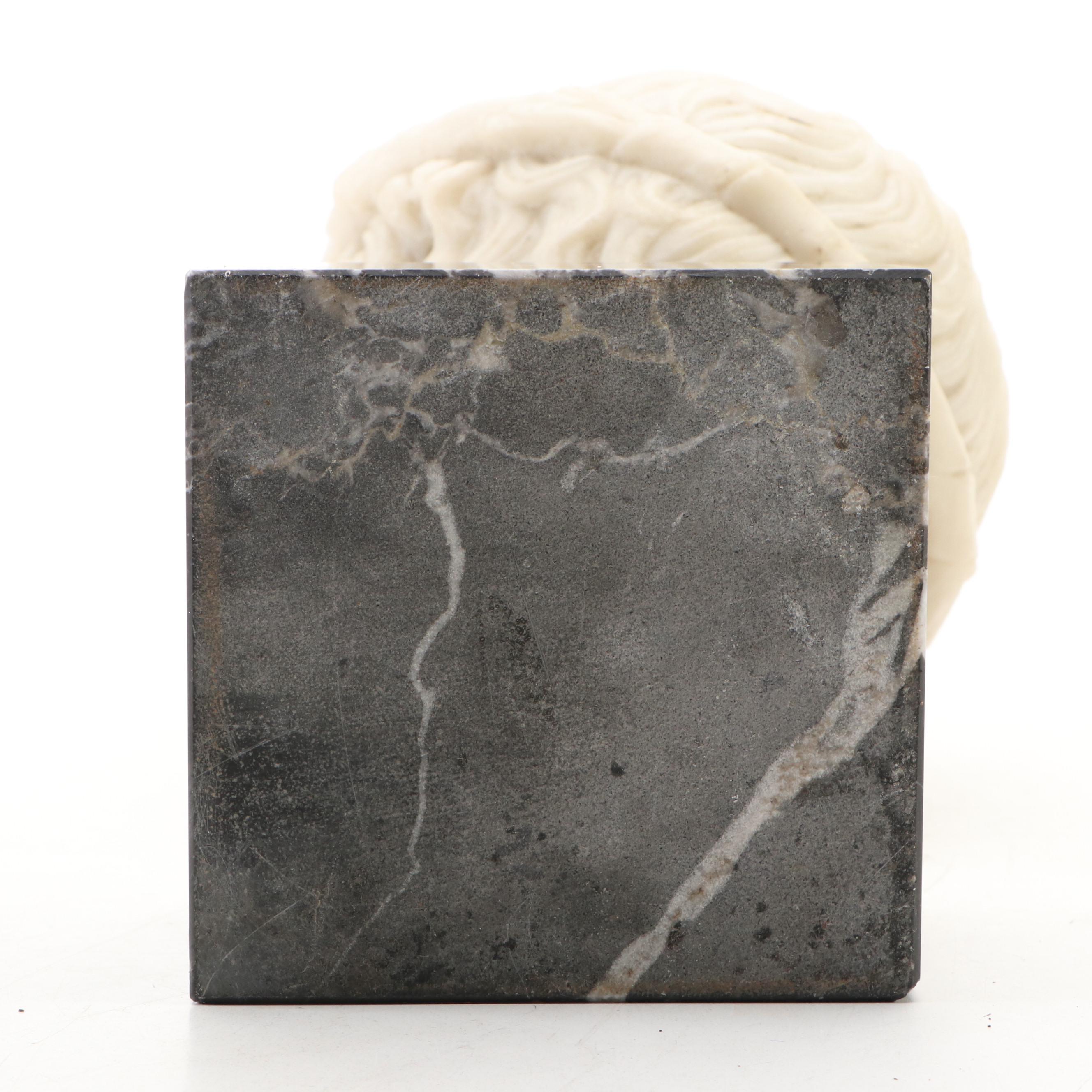 Cast Stone Museum Reproduction Sculpture "Head of Young Bacchus"