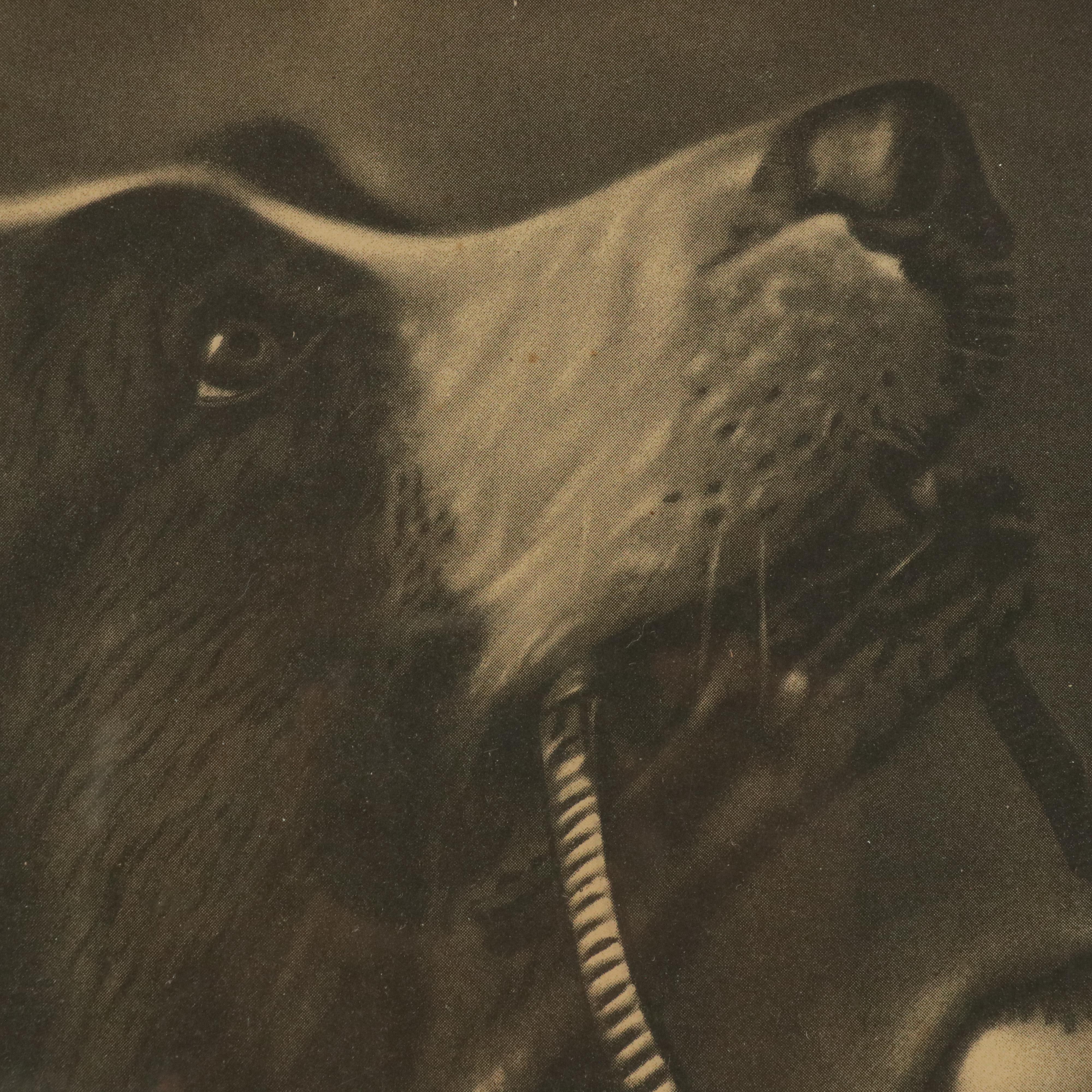 Halftone of Dog Carrying Baby in Basket, 20th Century