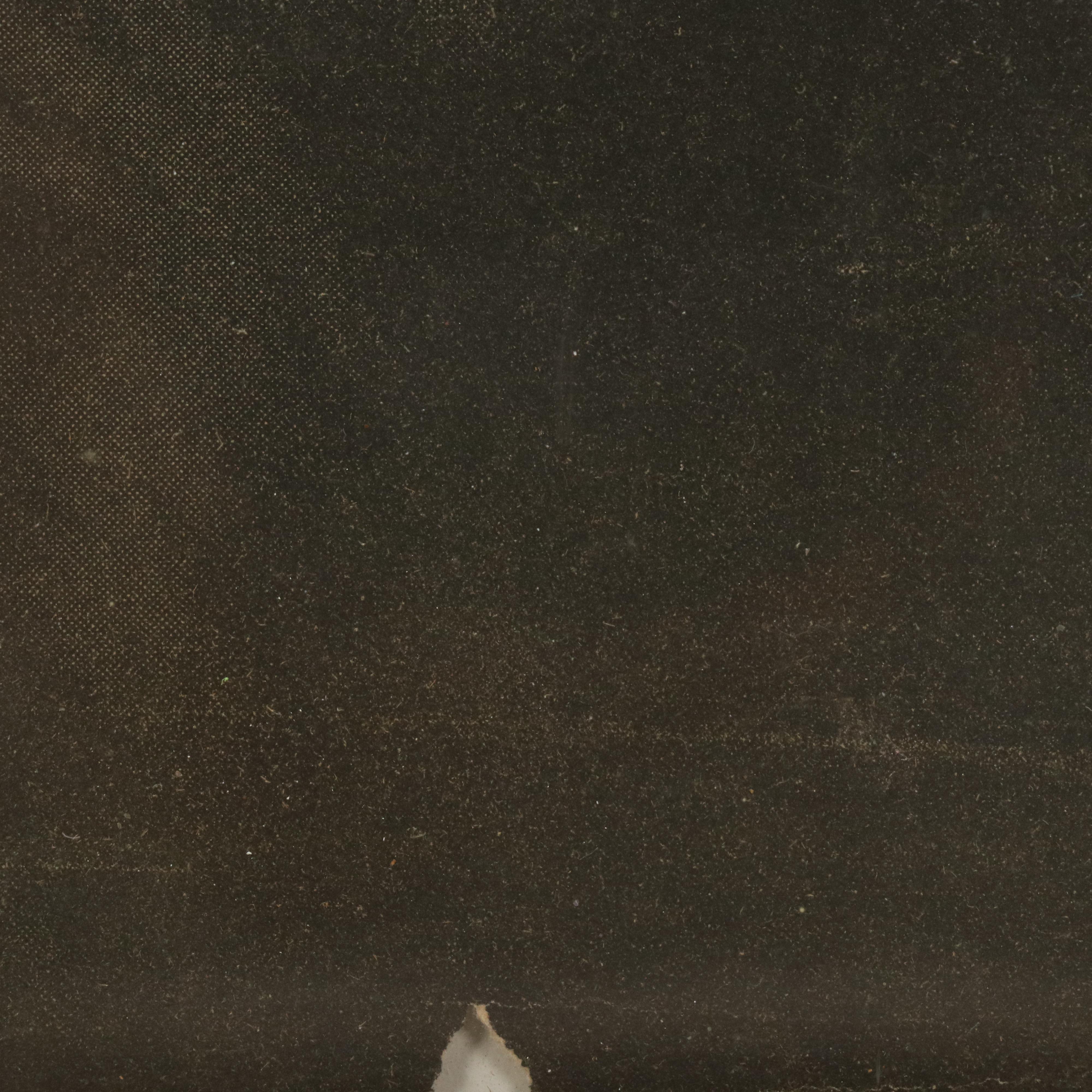 Halftone of Dog Carrying Baby in Basket, 20th Century